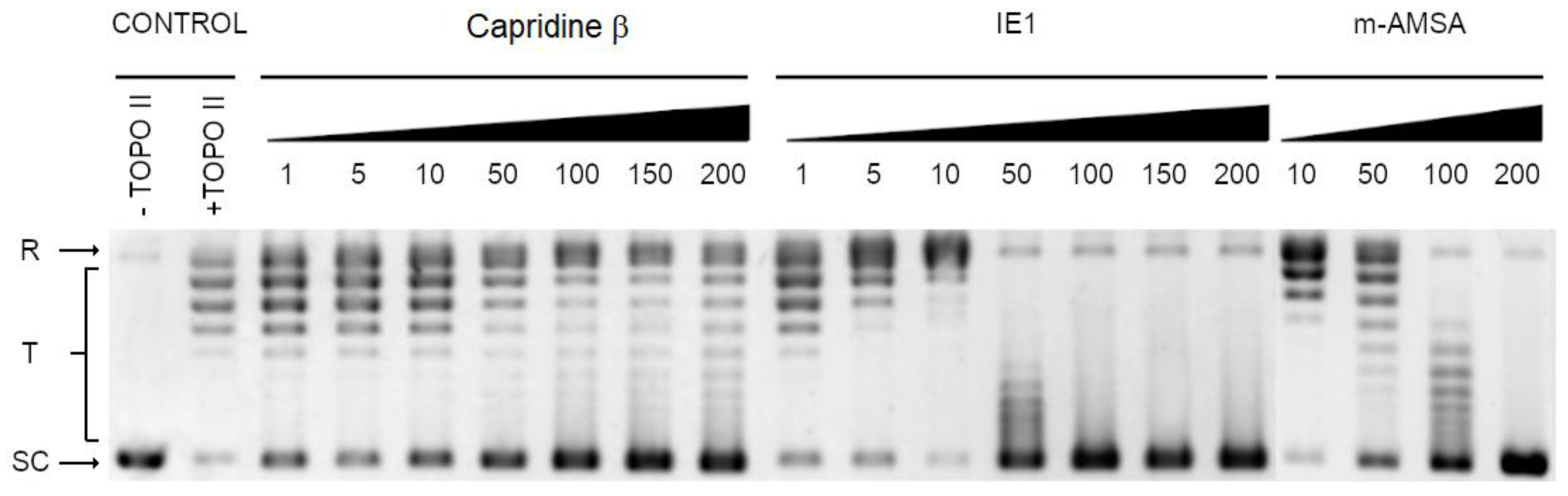 Pathogens 10 00189 g007 Pathogens 10 00189 g007