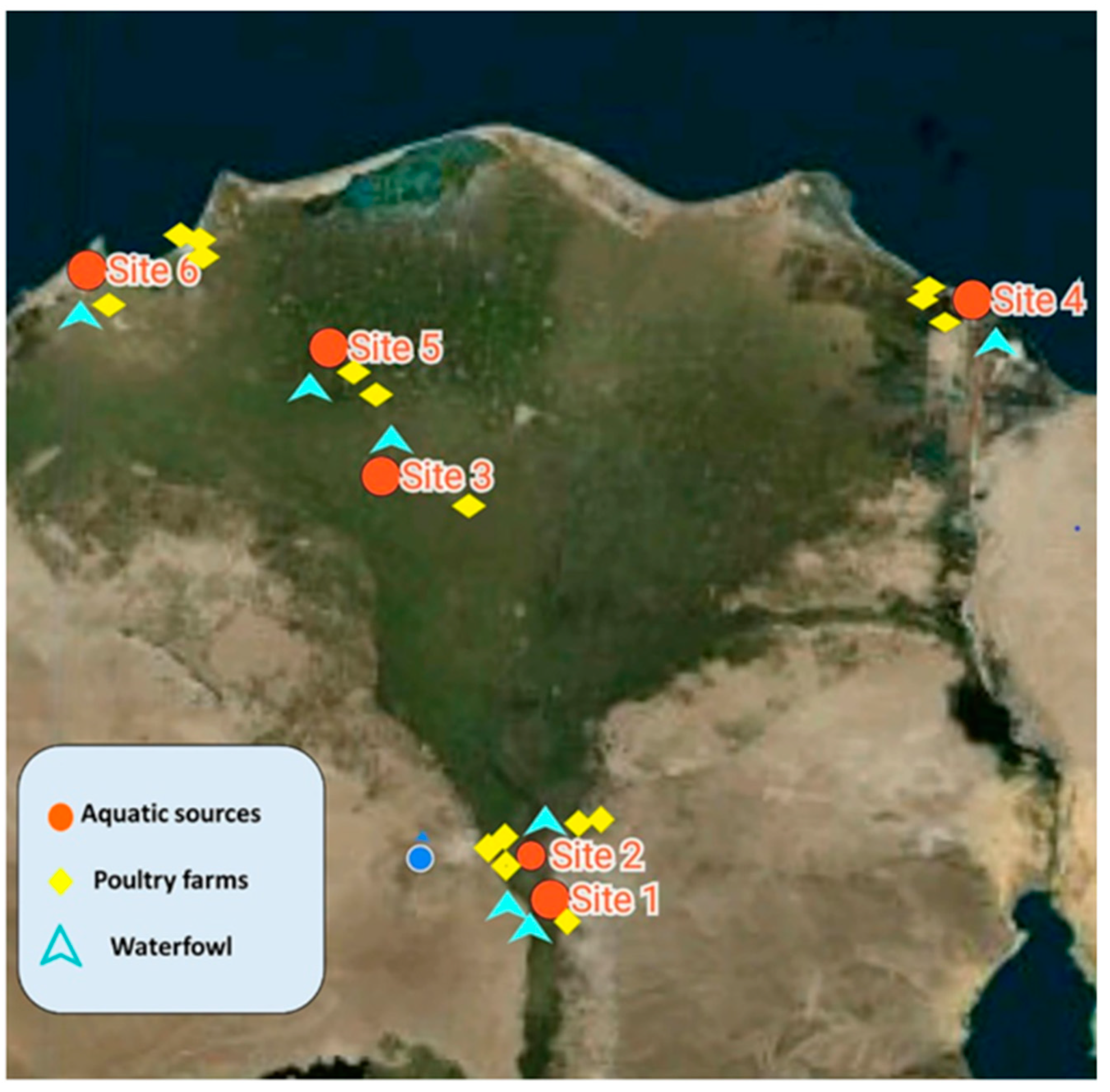 Pathogens 10 00190 g005