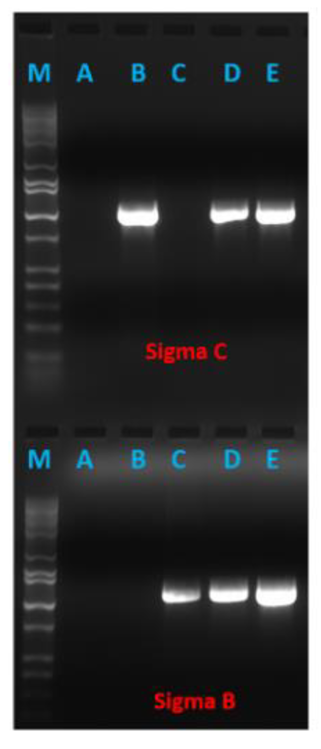 Pathogens 10 00197 g003 Pathogens 10 00197 g003