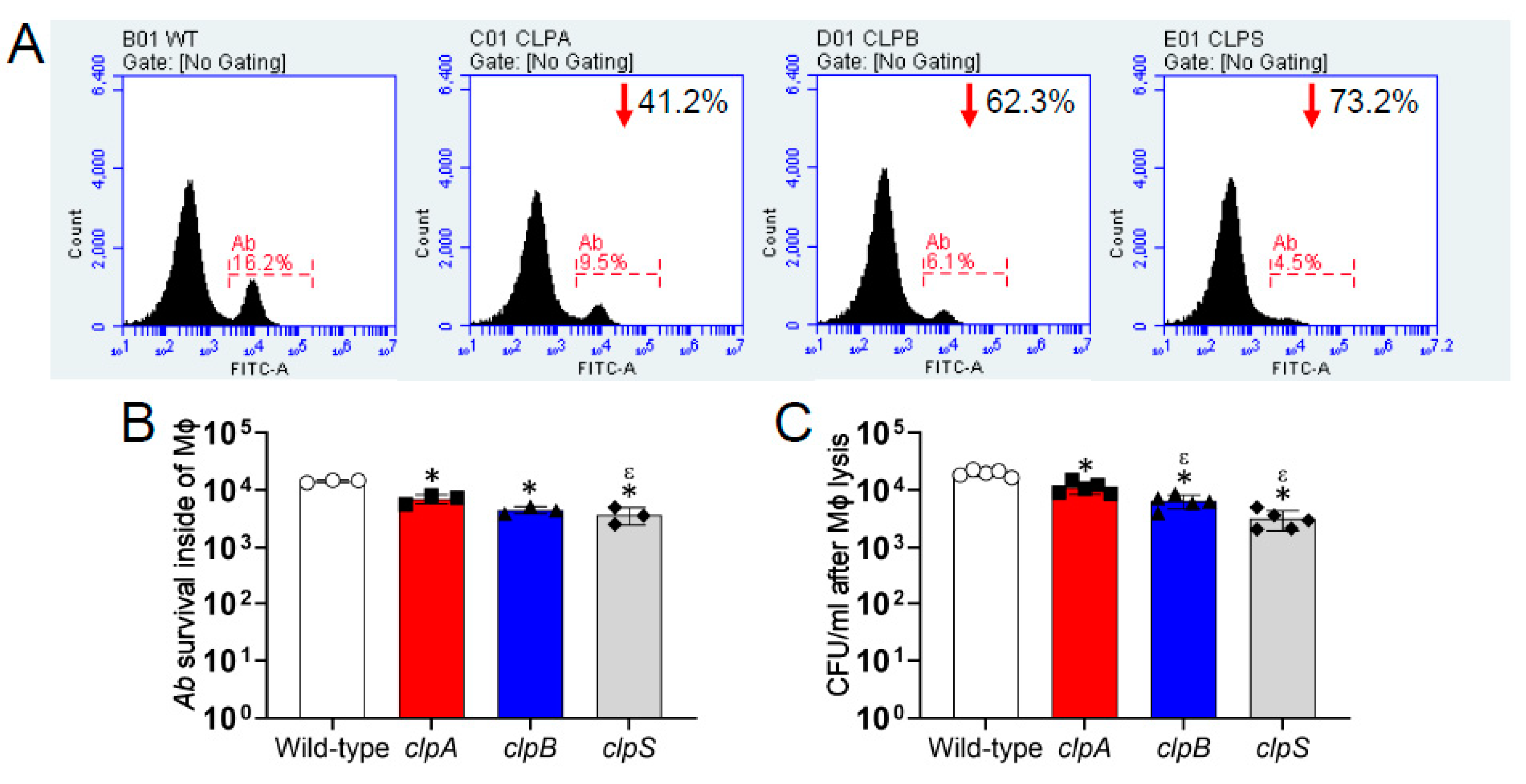 Pathogens 10 00204 g006