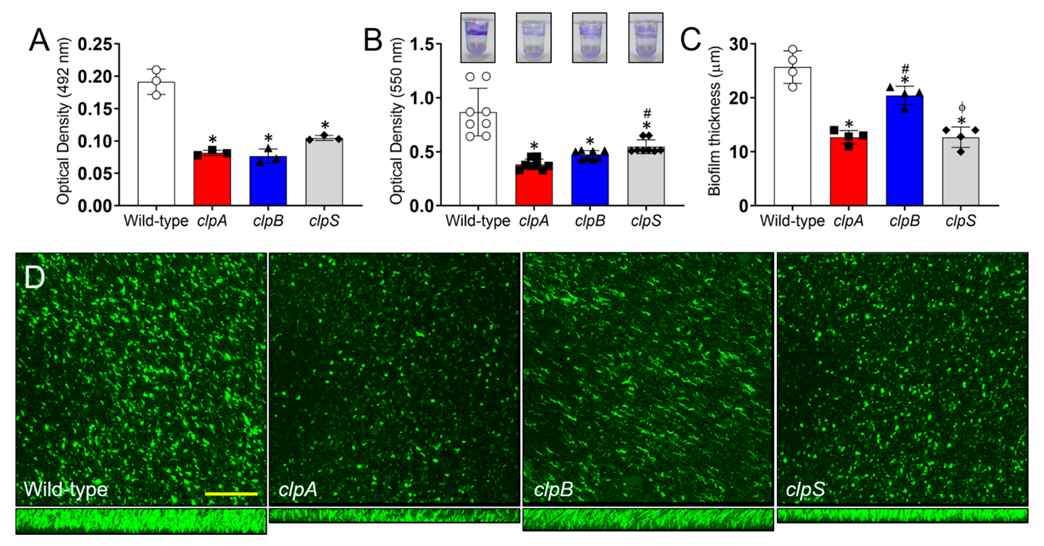 Pathogens 10 00204 g007