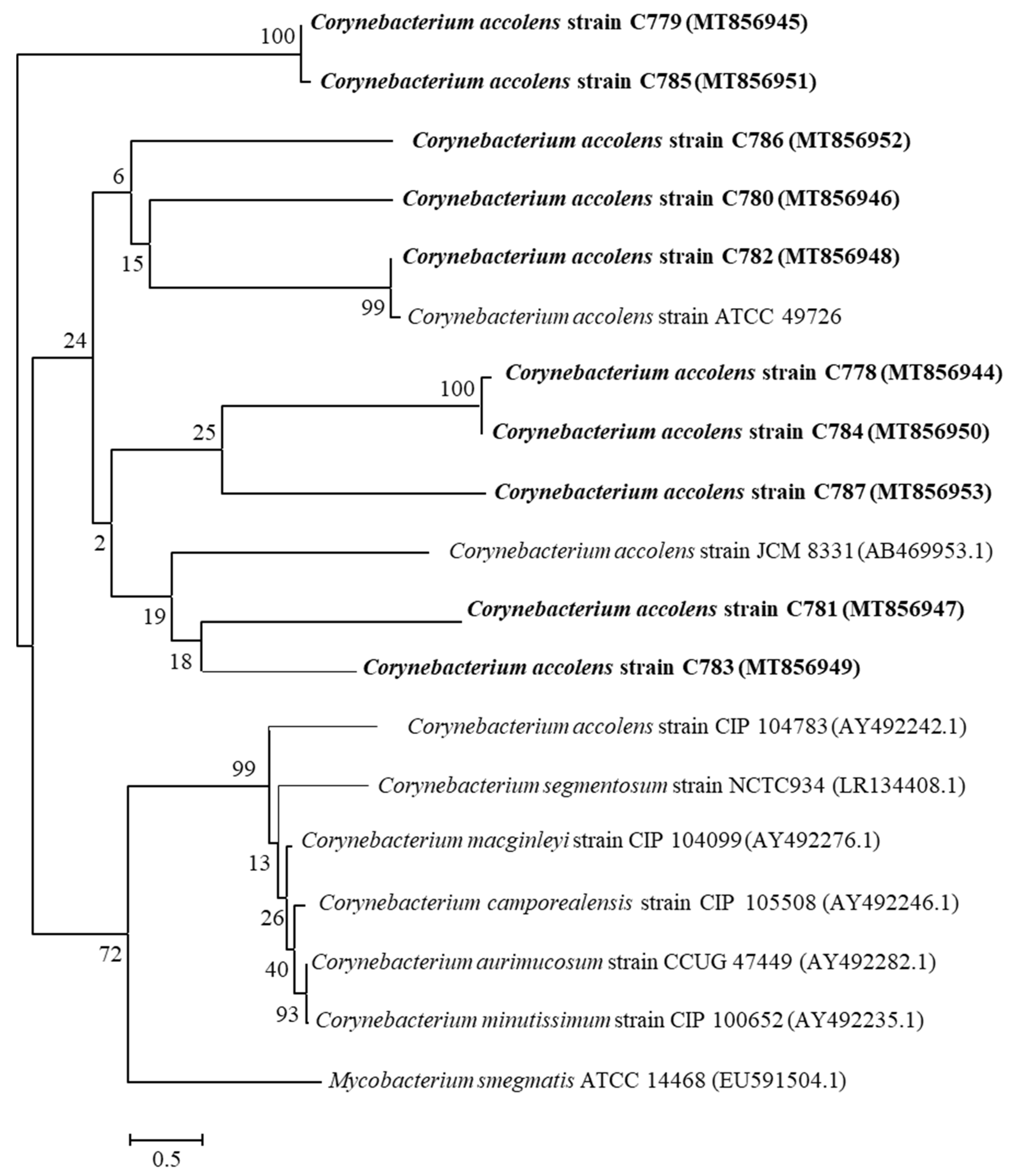 Pathogens 10 00207 g001 Pathogens 10 00207 g001