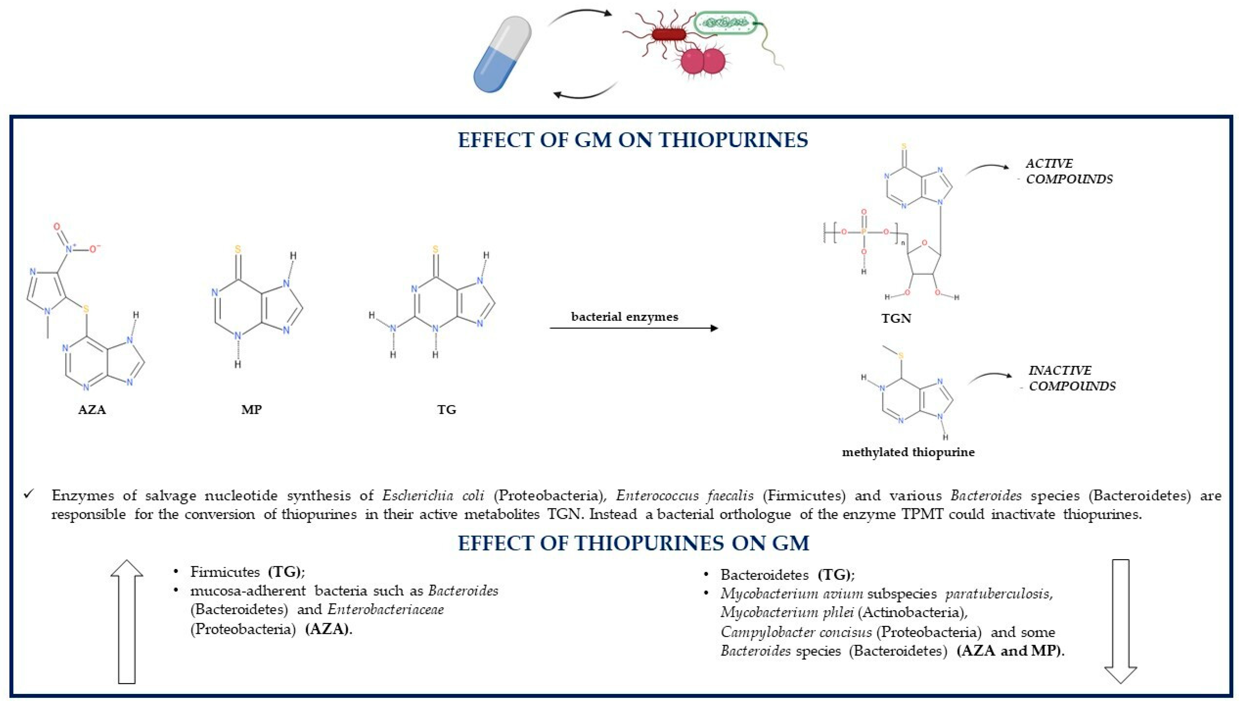 Pathogens 10 00211 g003
