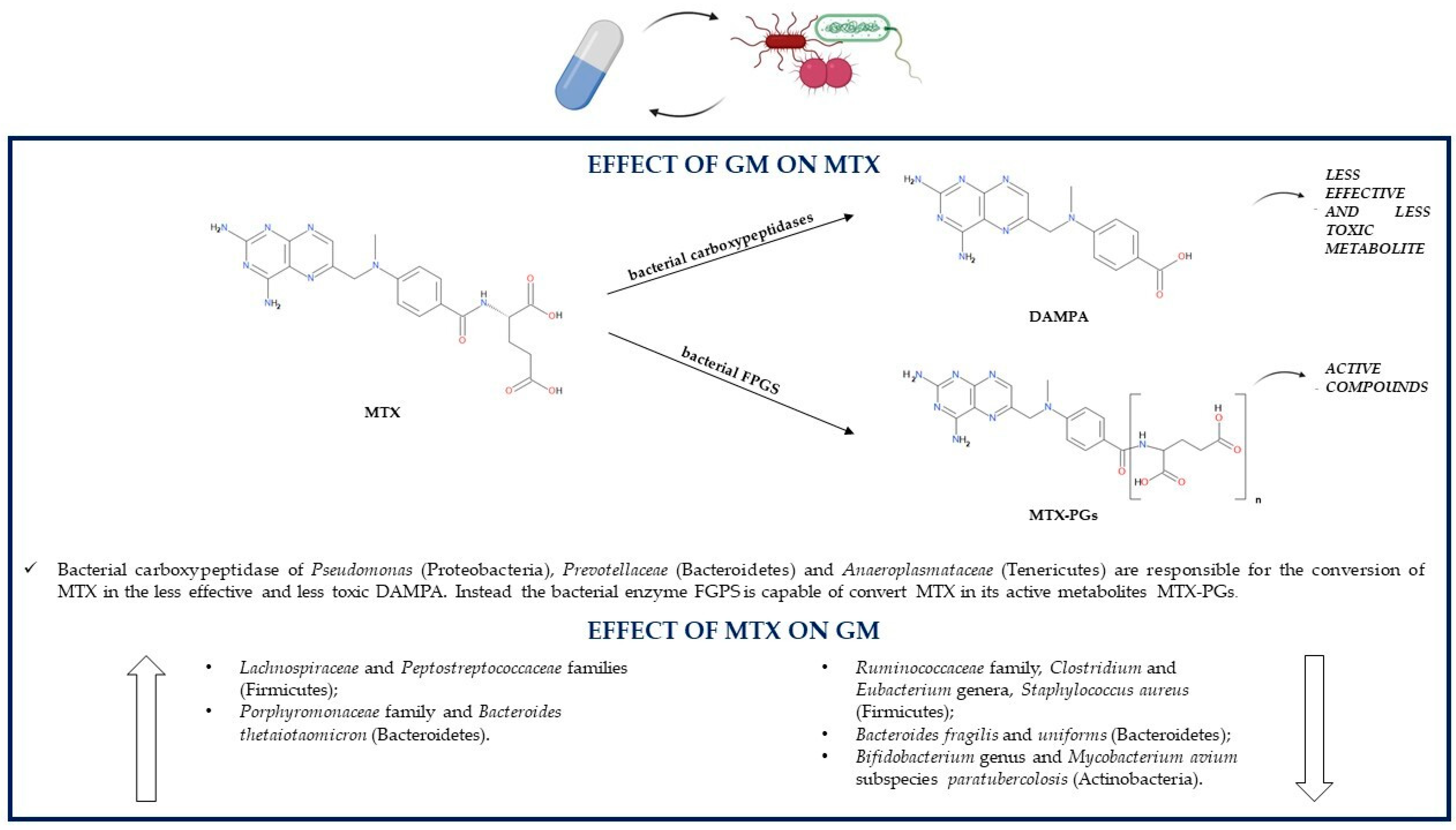 Pathogens 10 00211 g004