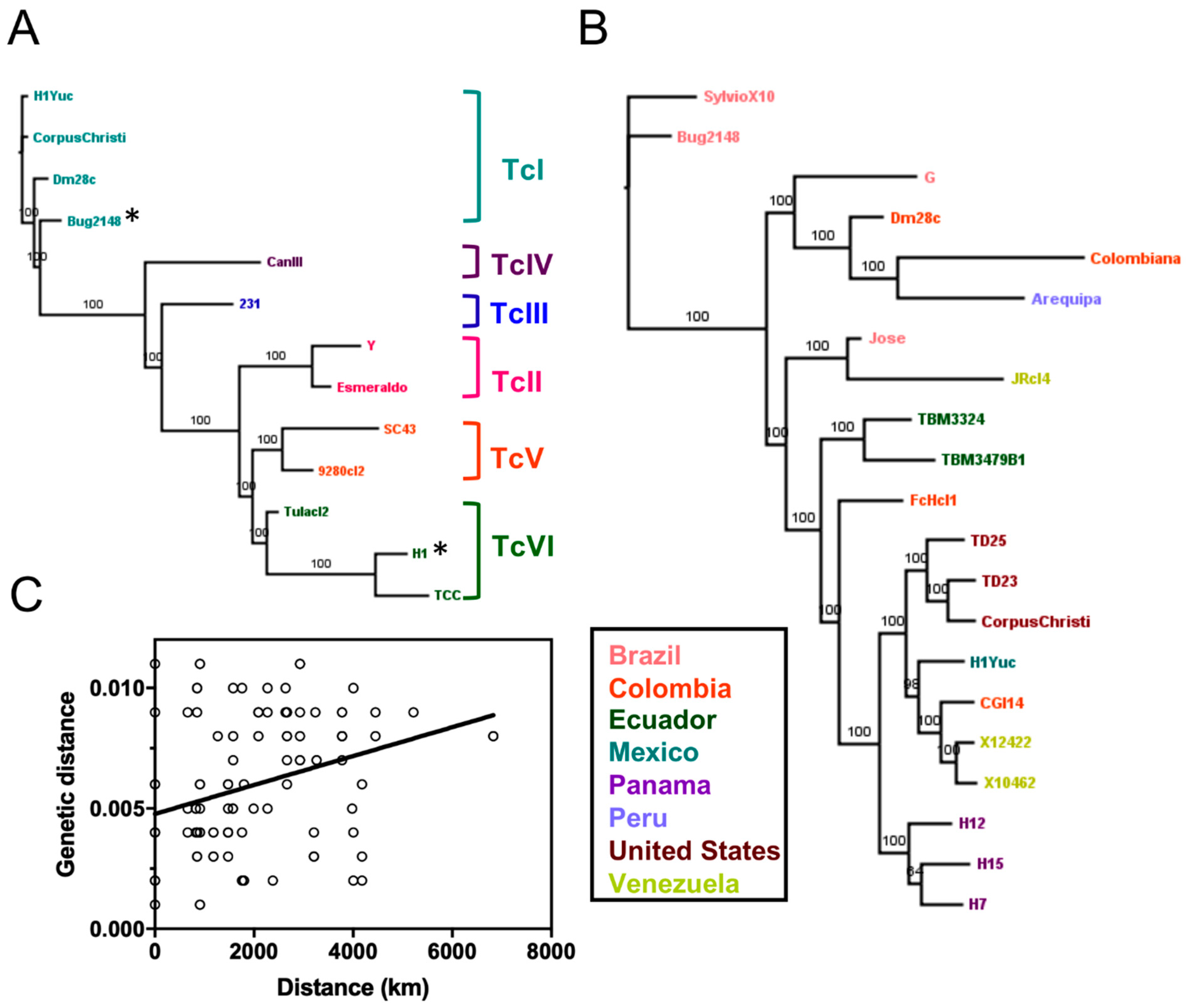 Frontiers  Trypanosoma cruzi Genomic Variability: Array