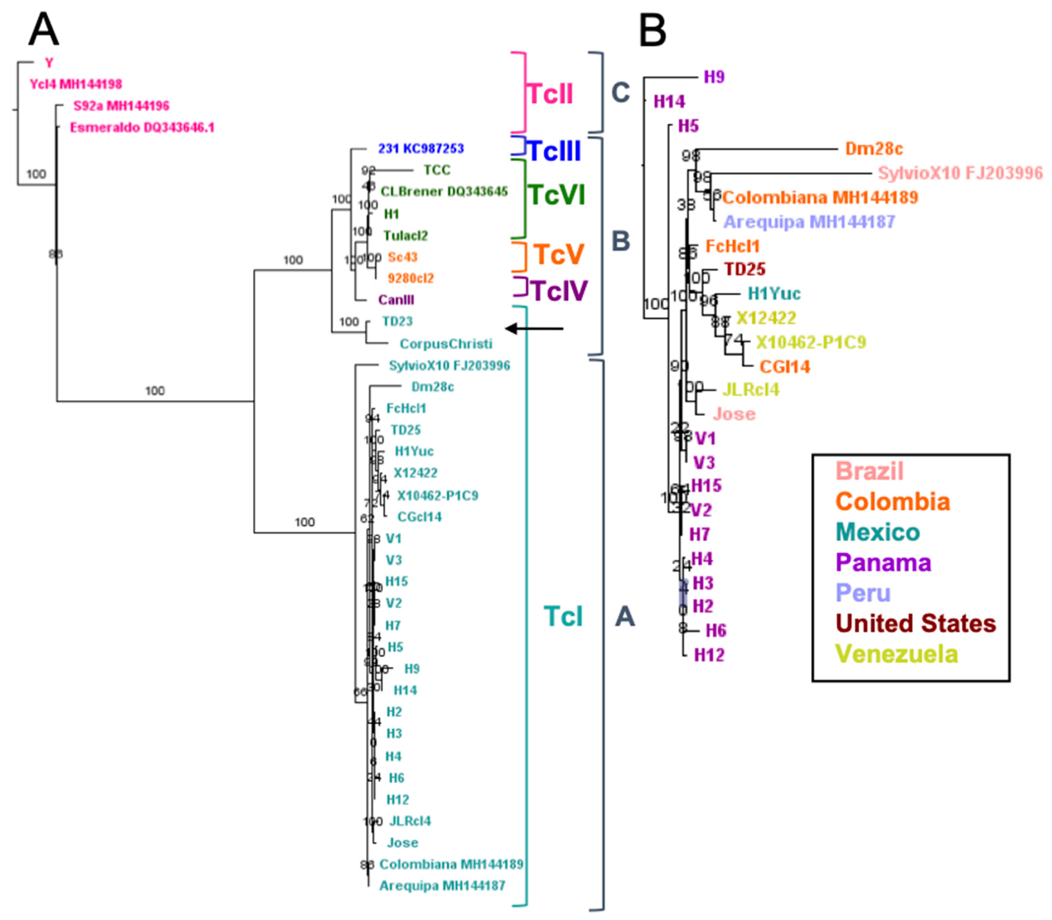 Pathogens 10 00212 g002 Pathogens 10 00212 g002
