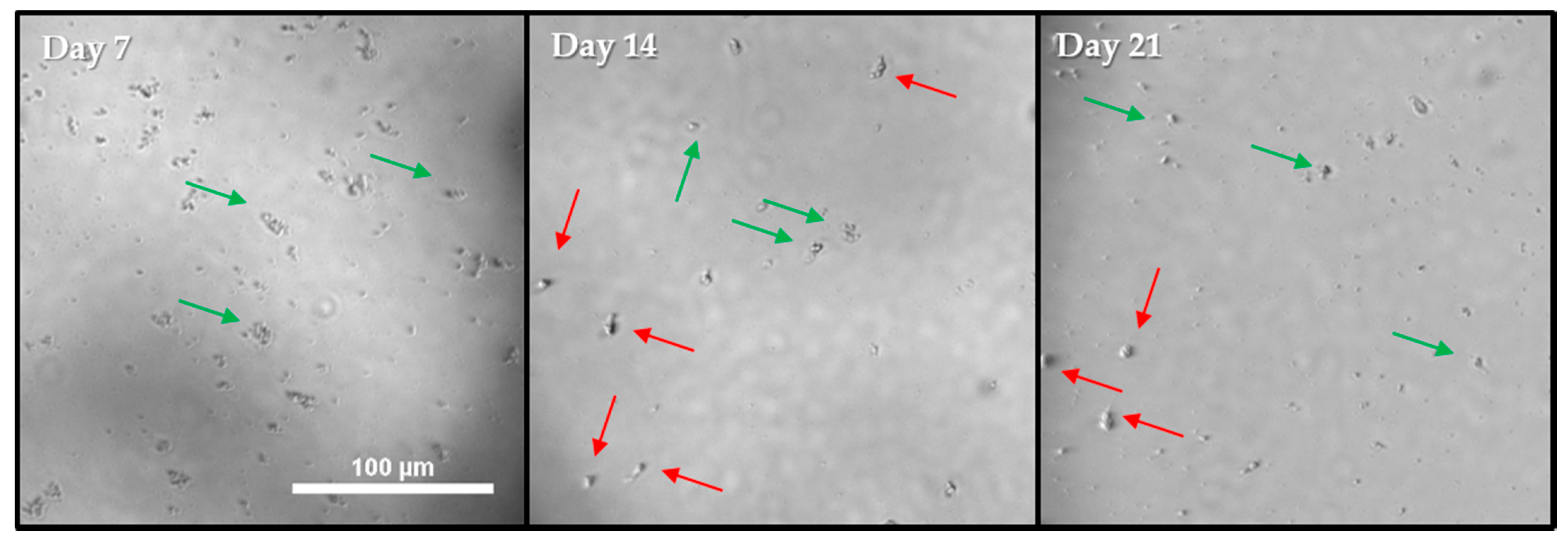 Pathogens 10 00221 g012 Pathogens 10 00221 g012