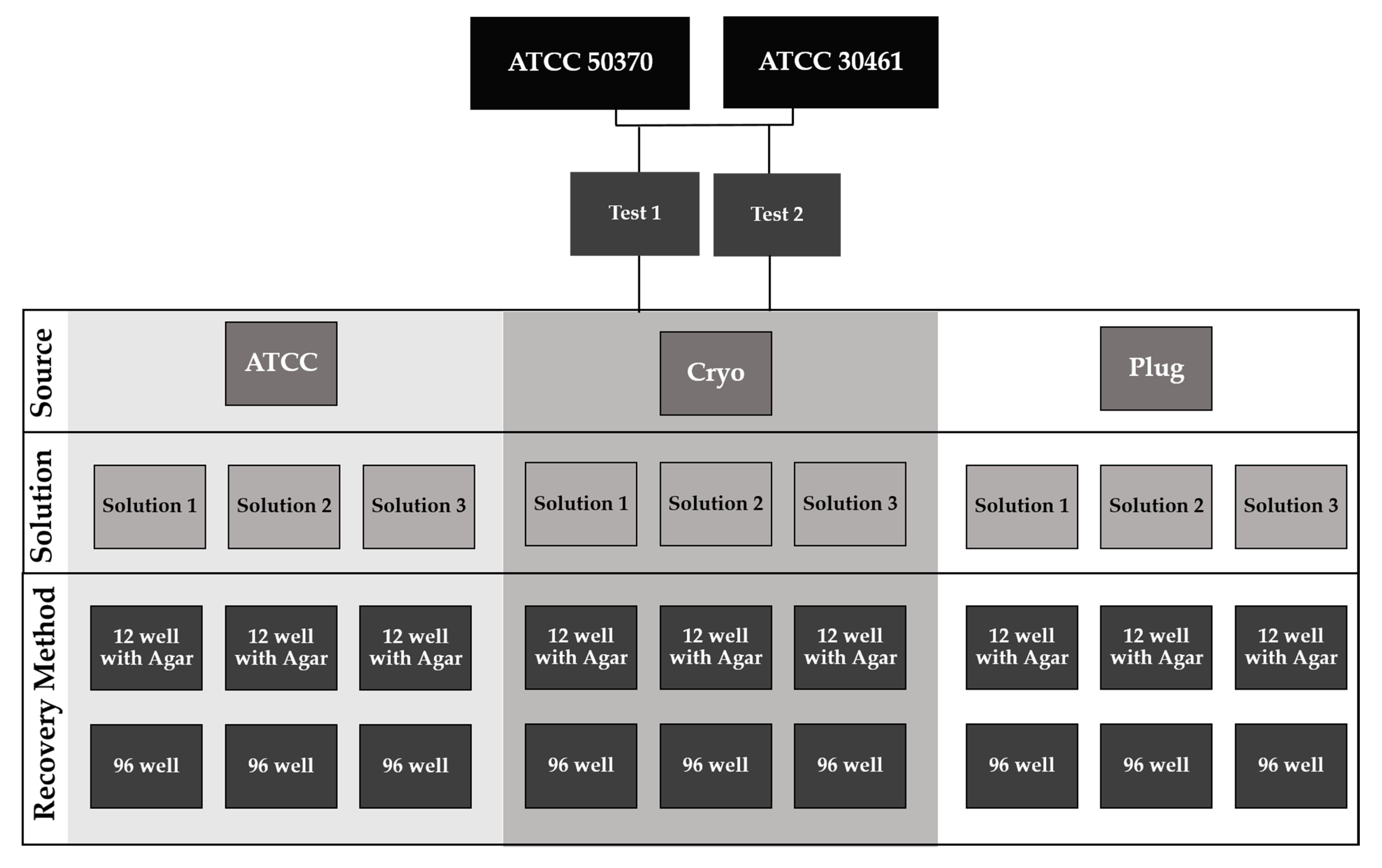 Pathogens 10 00221 g014 Pathogens 10 00221 g014