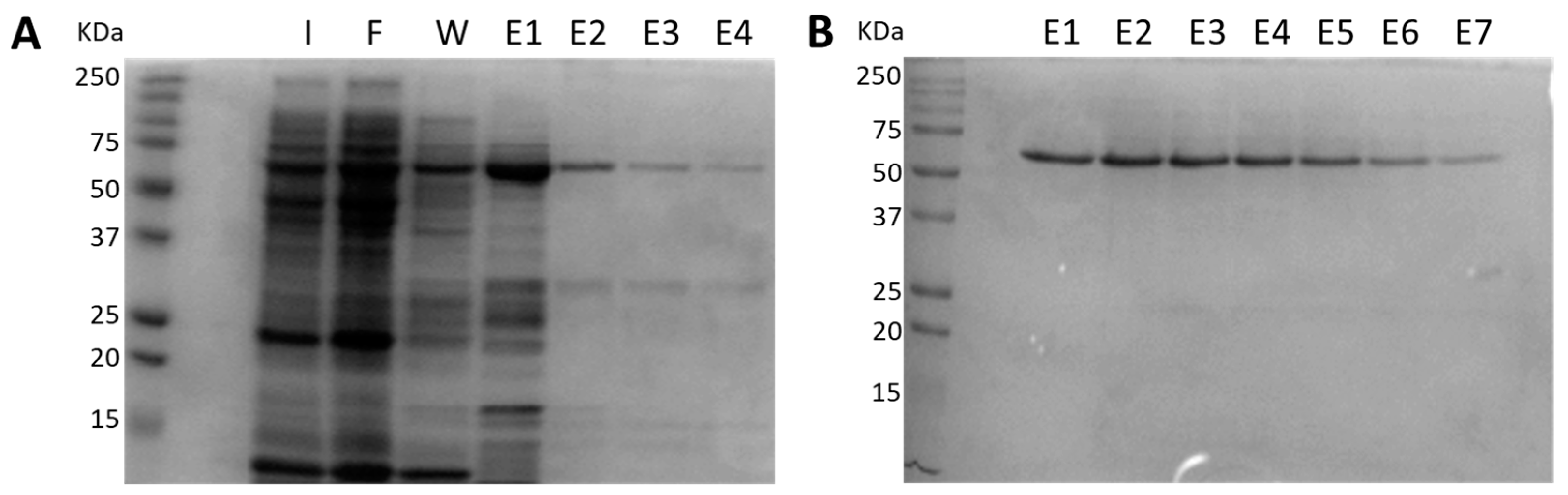 Pathogens 10 00226 g001 Pathogens 10 00226 g001