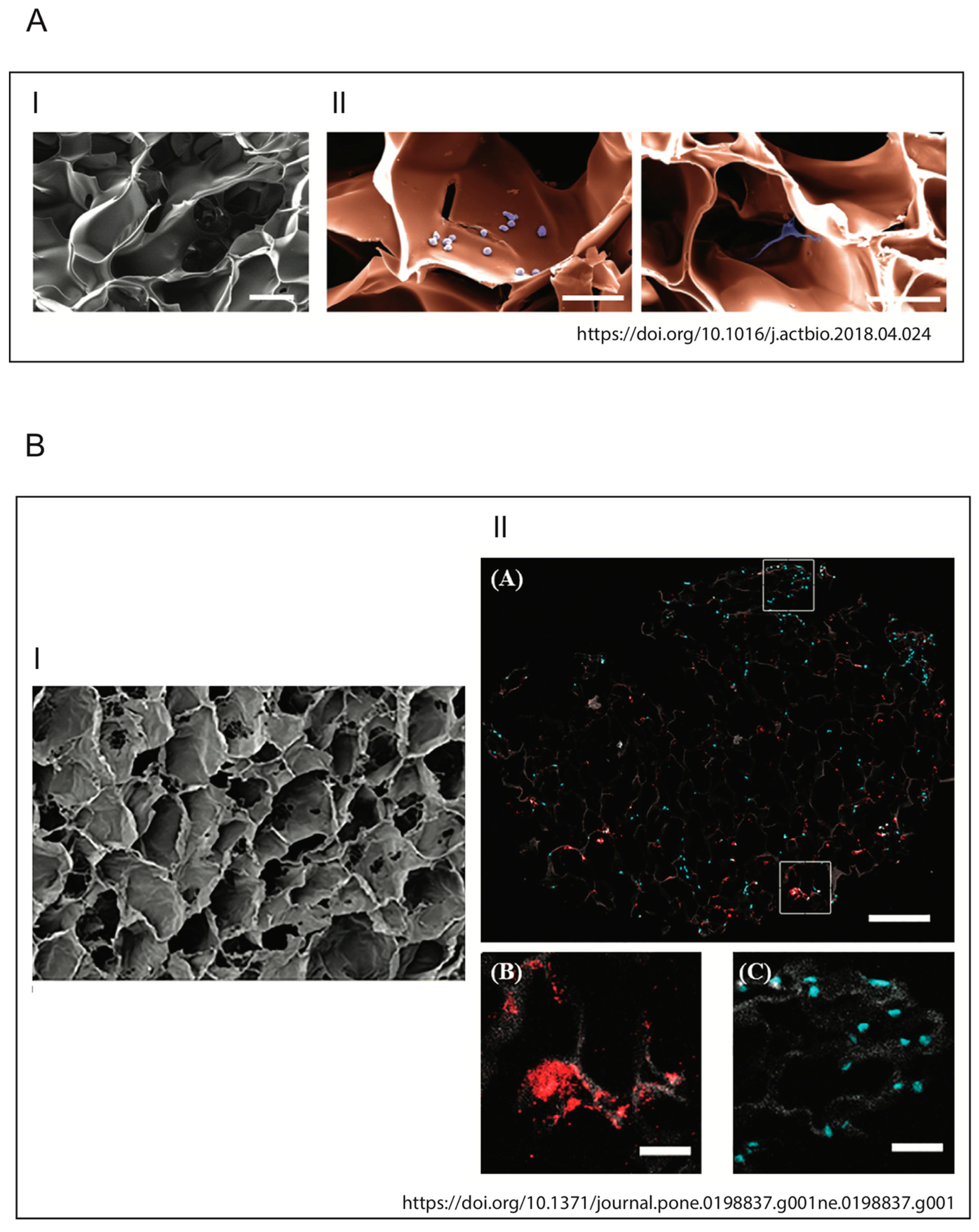 Pathogens 10 00239 g006
