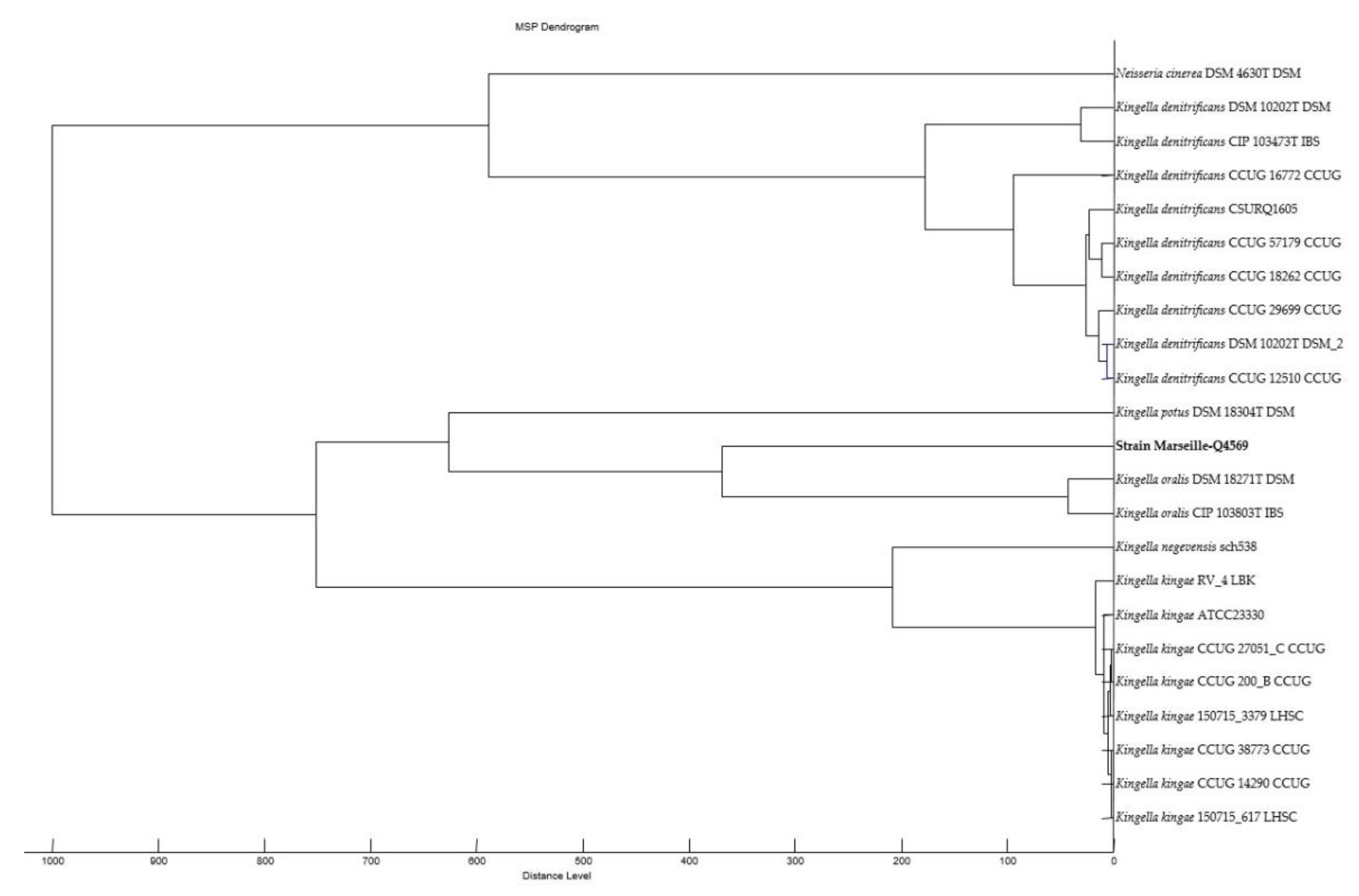 Pathogens 10 00240 g002 Pathogens 10 00240 g002