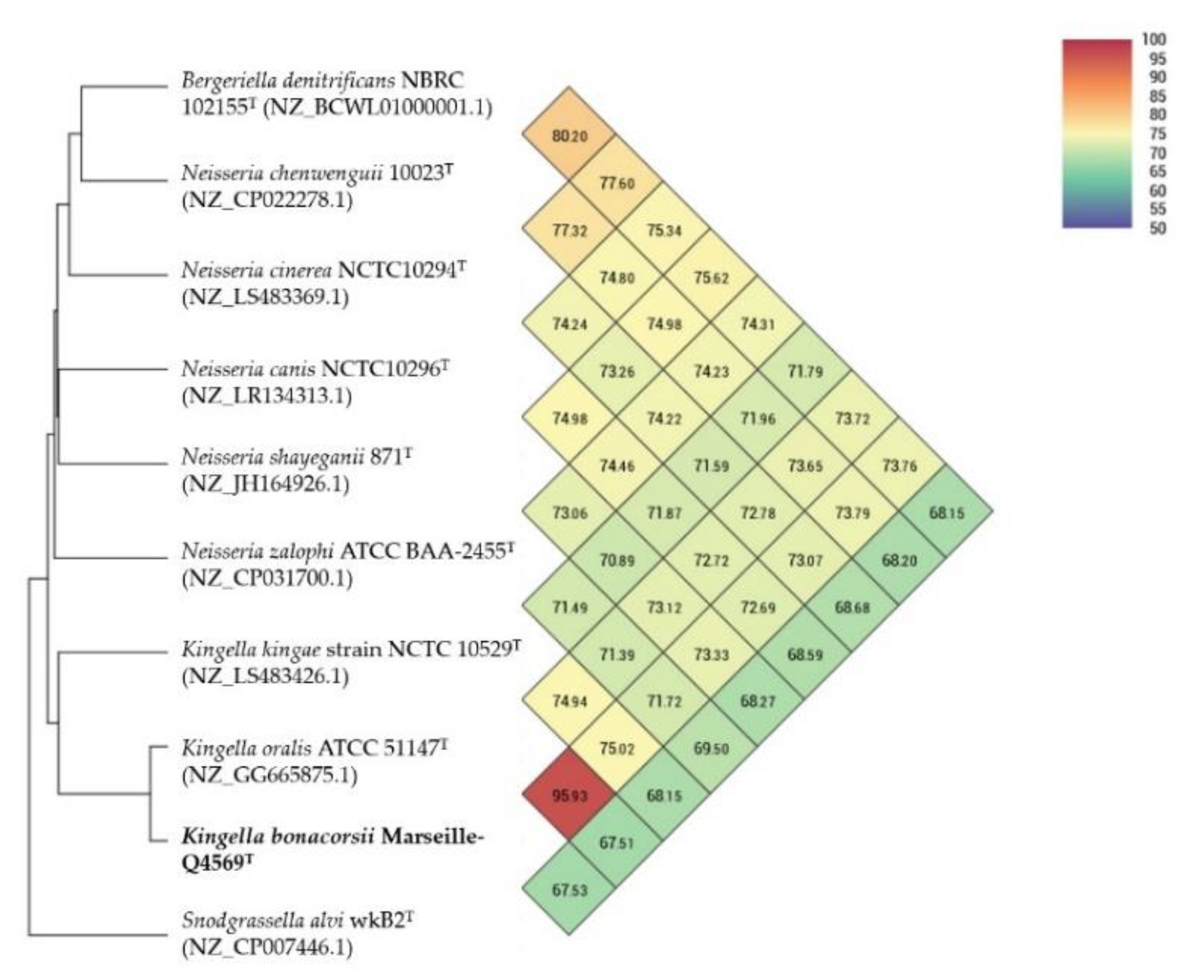 Pathogens 10 00240 g006 Pathogens 10 00240 g006