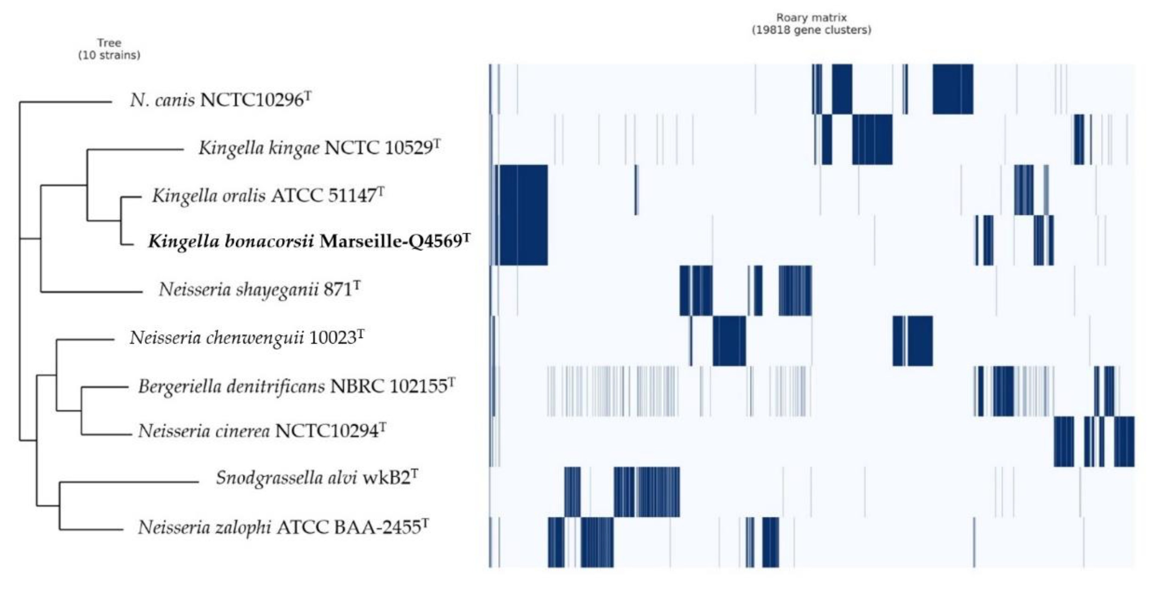 Pathogens 10 00240 g007 Pathogens 10 00240 g007