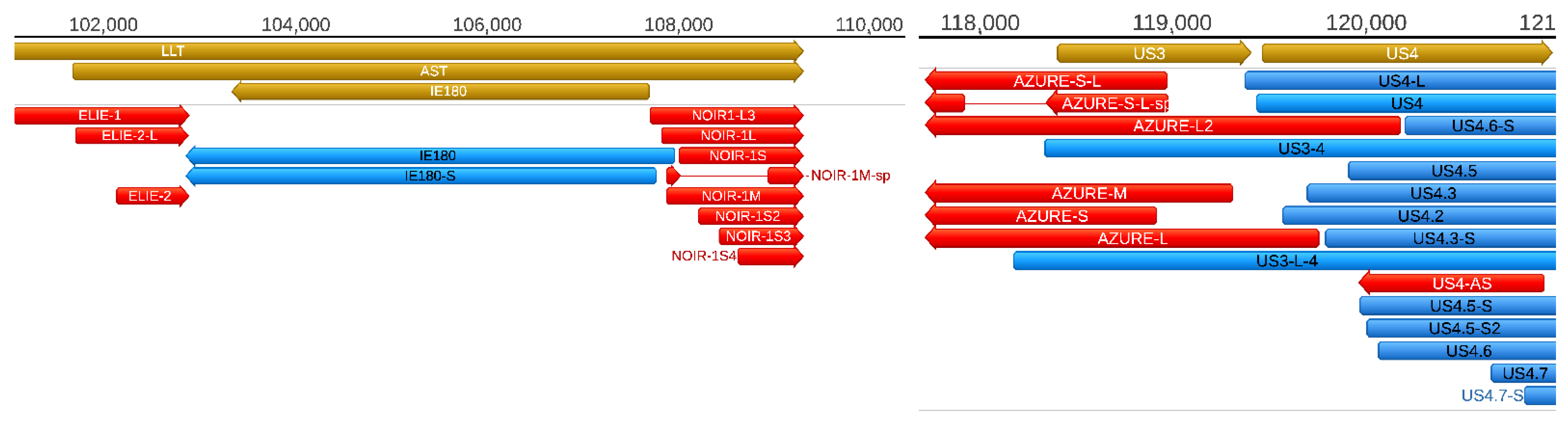 Pathogens 10 00242 g005