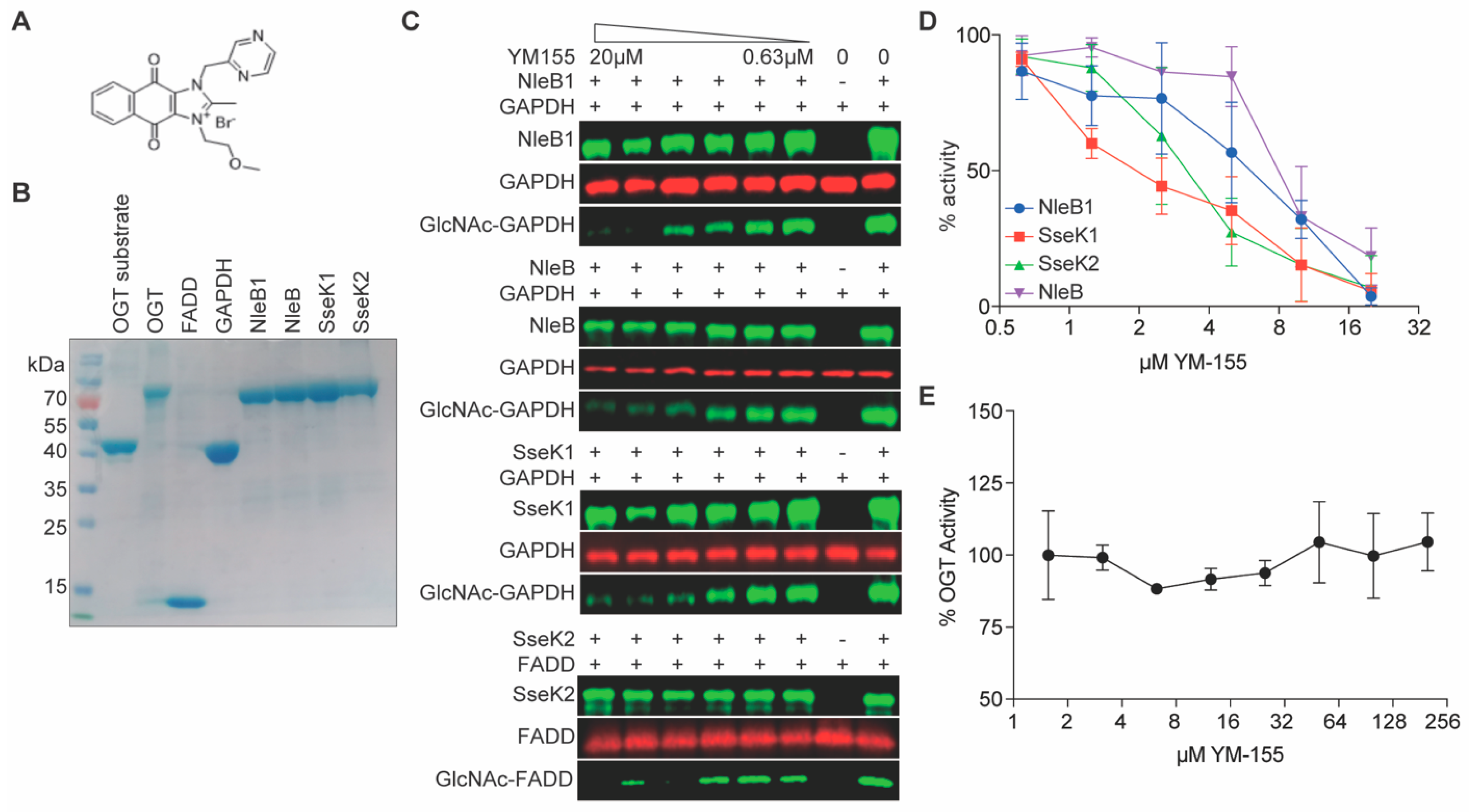 Pathogens 10 00253 g003 Pathogens 10 00253 g003