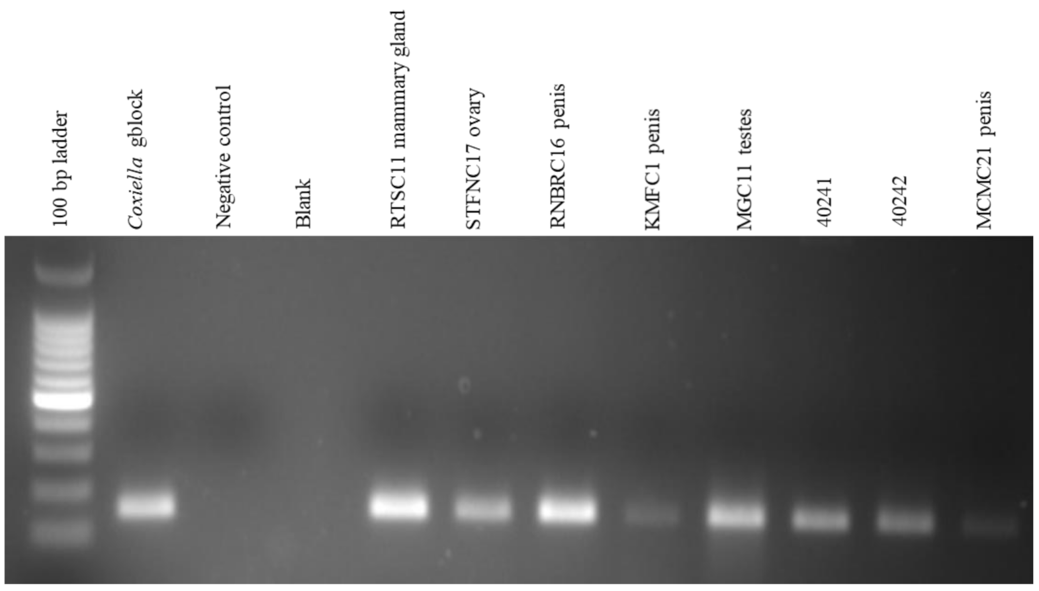 Pathogens 10 00258 g002
