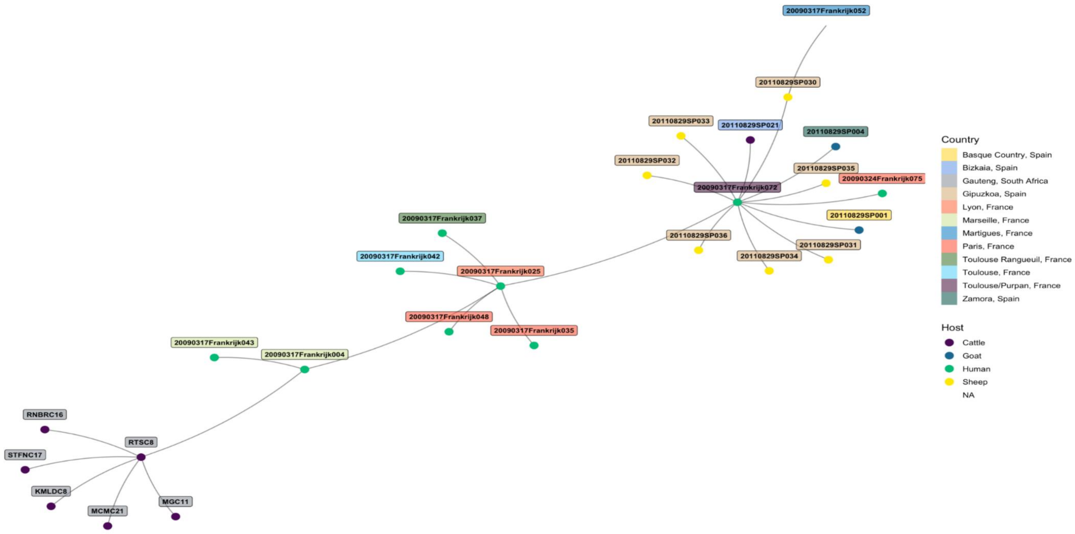 Pathogens 10 00258 g004