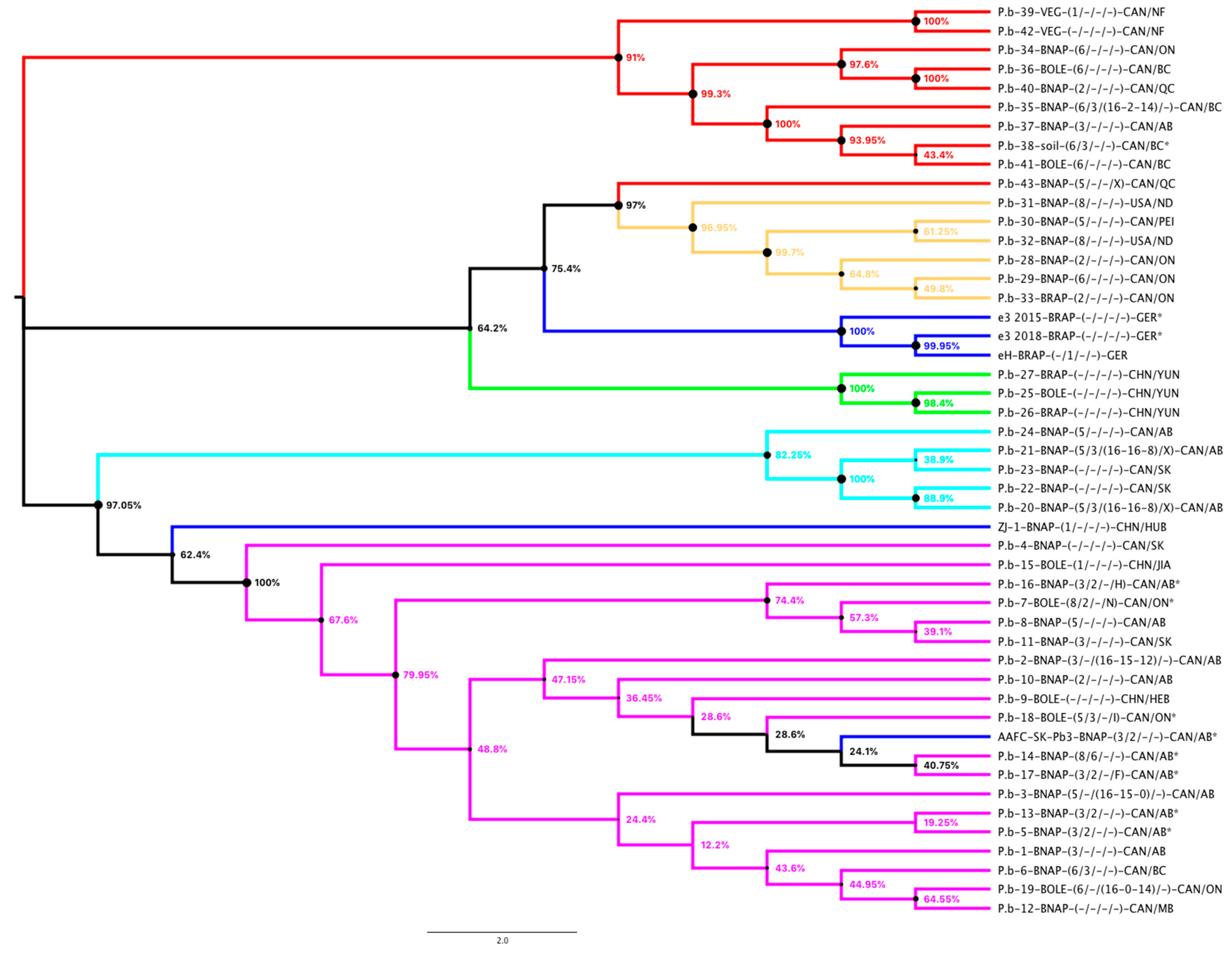Pathogens 10 00259 g001 Pathogens 10 00259 g001
