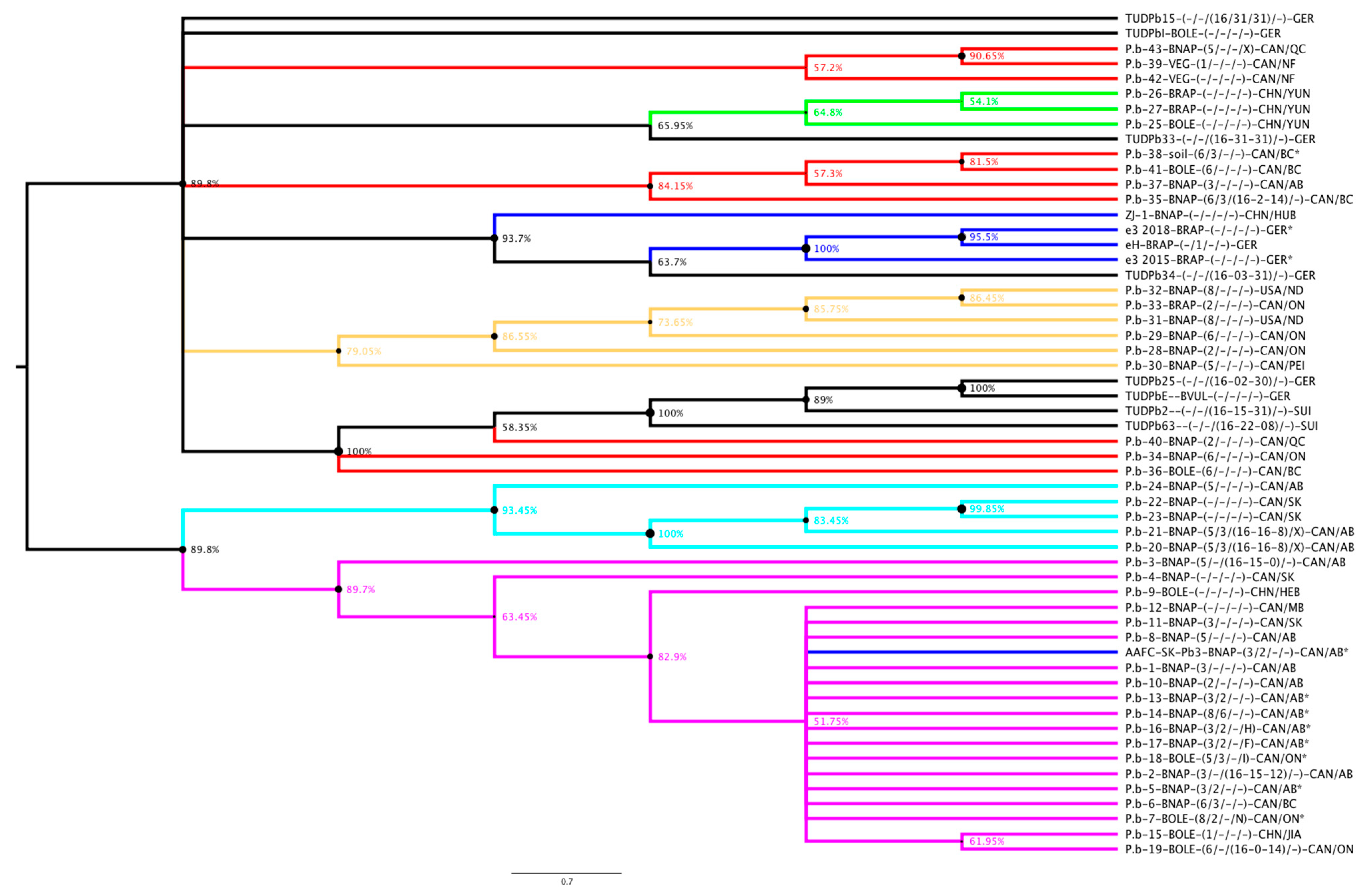Pathogens 10 00259 g003 Pathogens 10 00259 g003