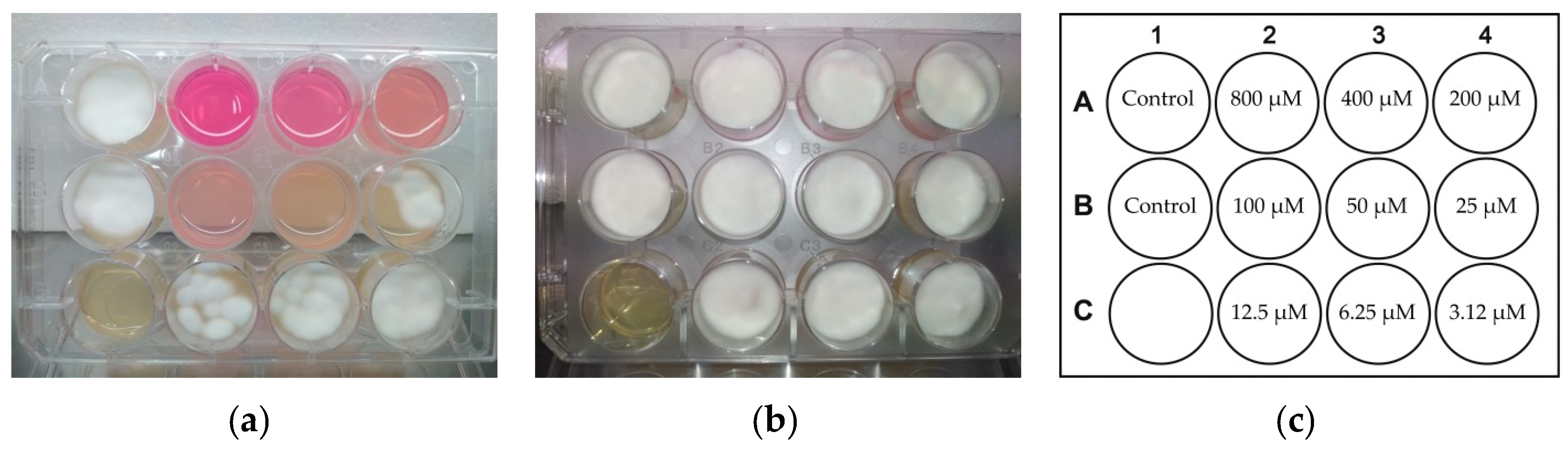 Pathogens 10 00263 g004 Pathogens 10 00263 g004