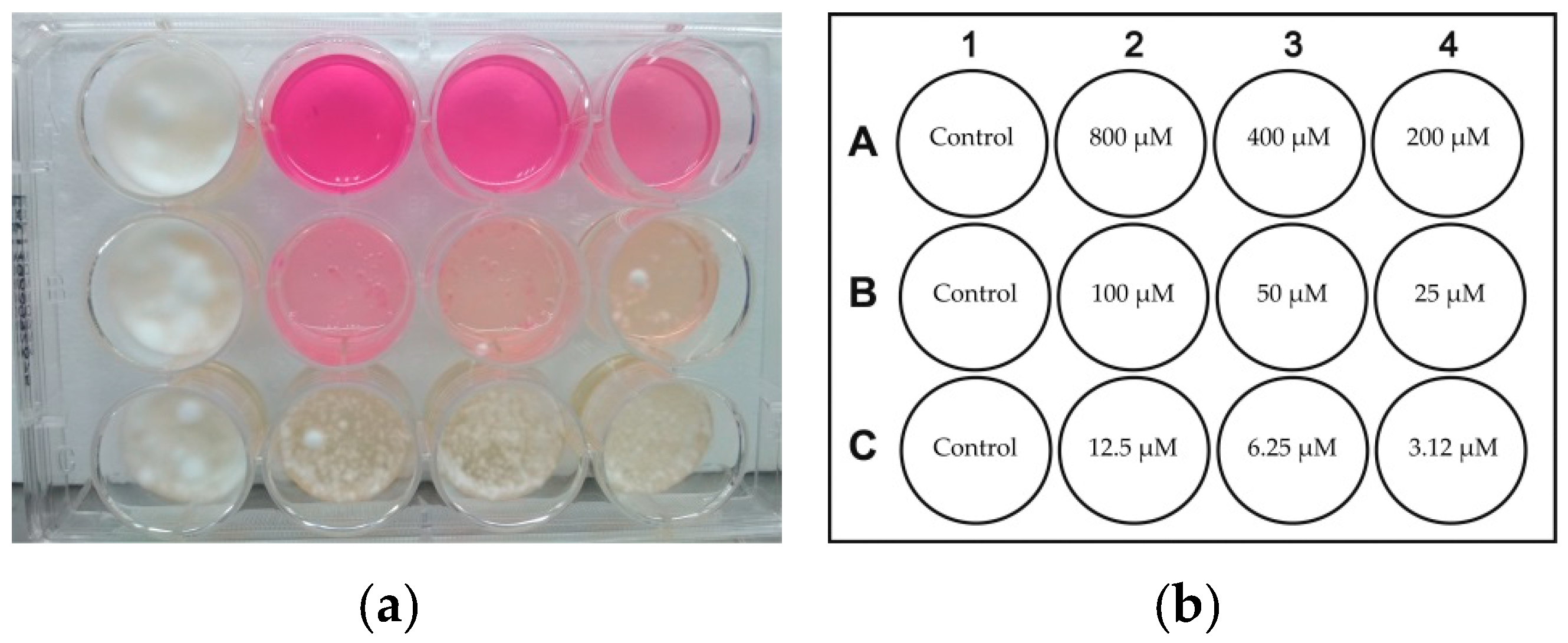 Pathogens 10 00263 g008 Pathogens 10 00263 g008