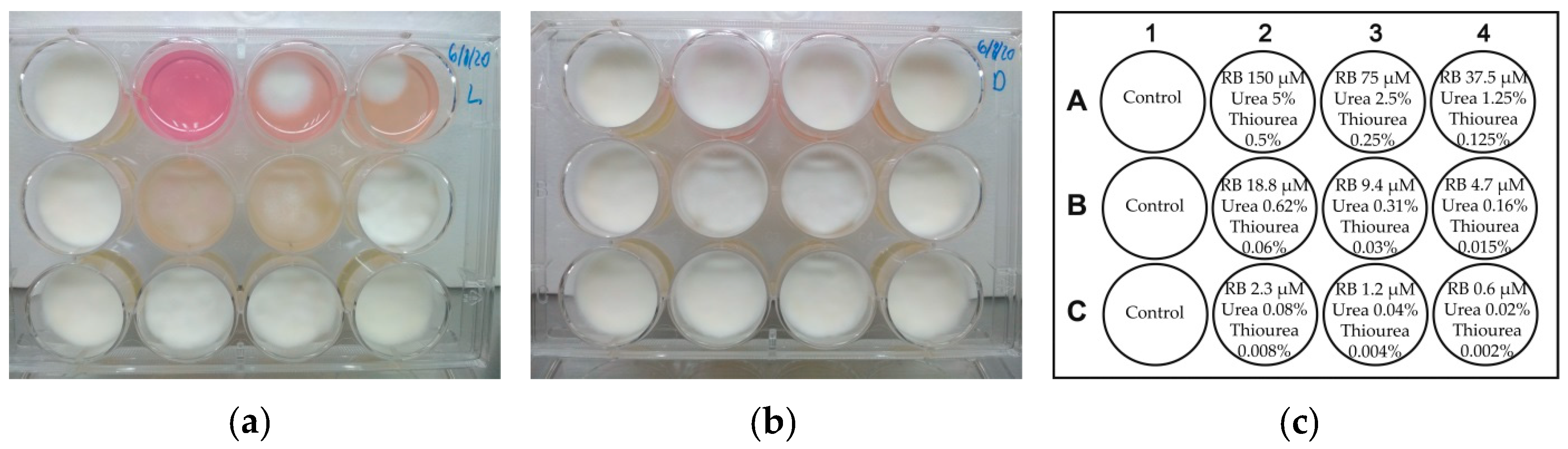 Pathogens 10 00263 g010 Pathogens 10 00263 g010