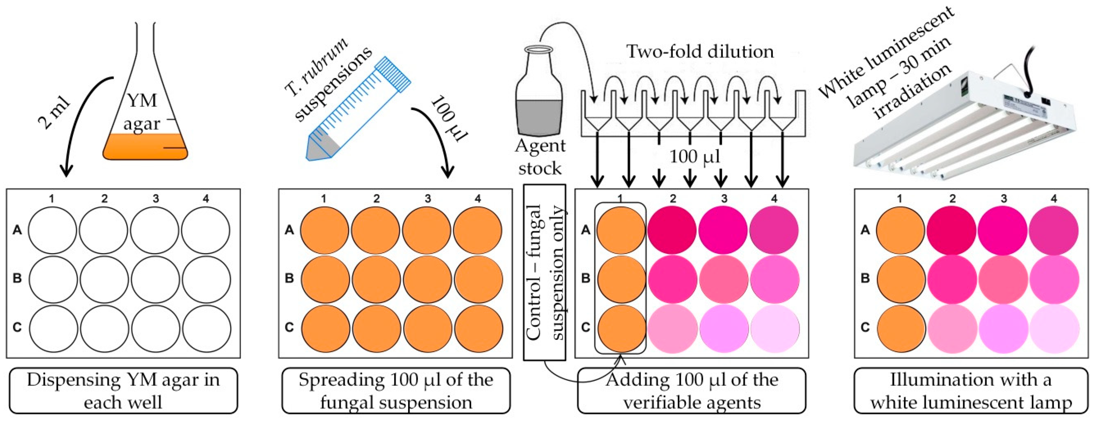 Pathogens 10 00263 sch001 Pathogens 10 00263 sch001