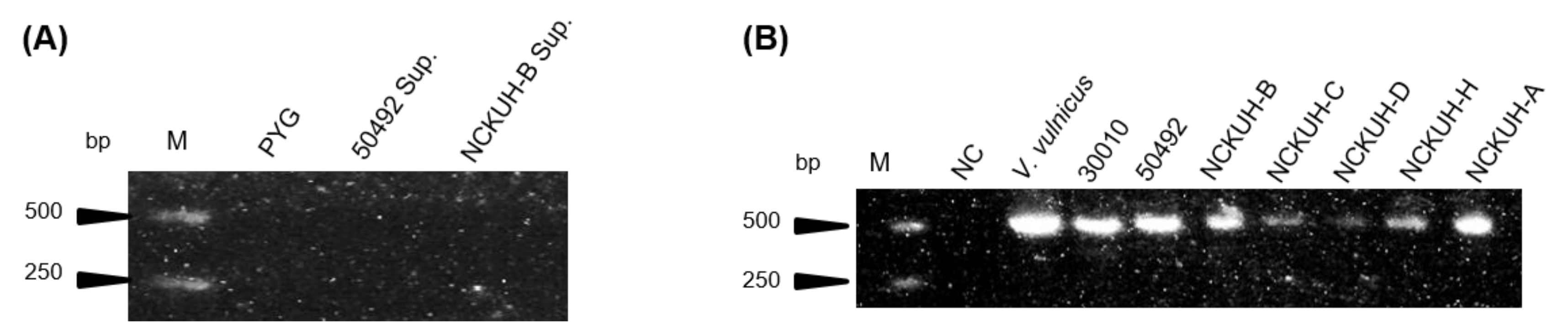 Pathogens 10 00266 g001 Pathogens 10 00266 g001