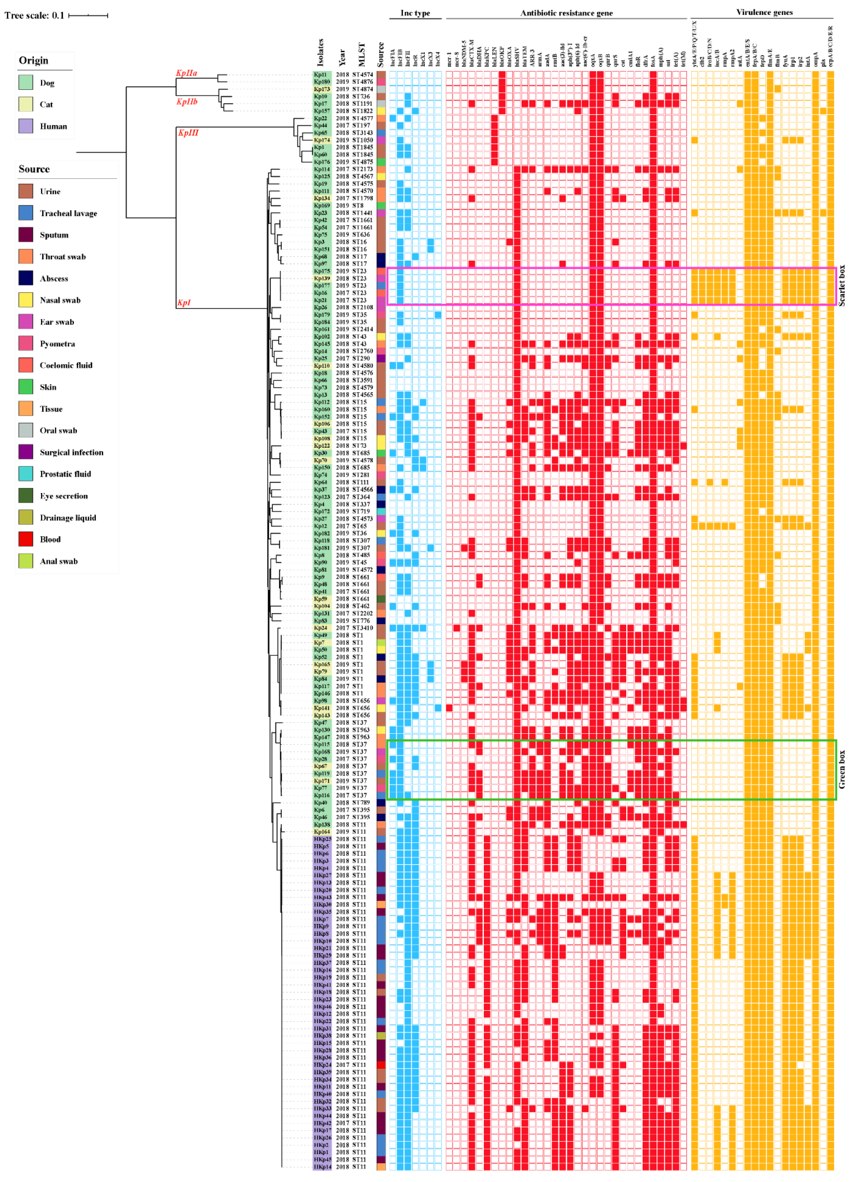 Pathogens 10 00271 g002