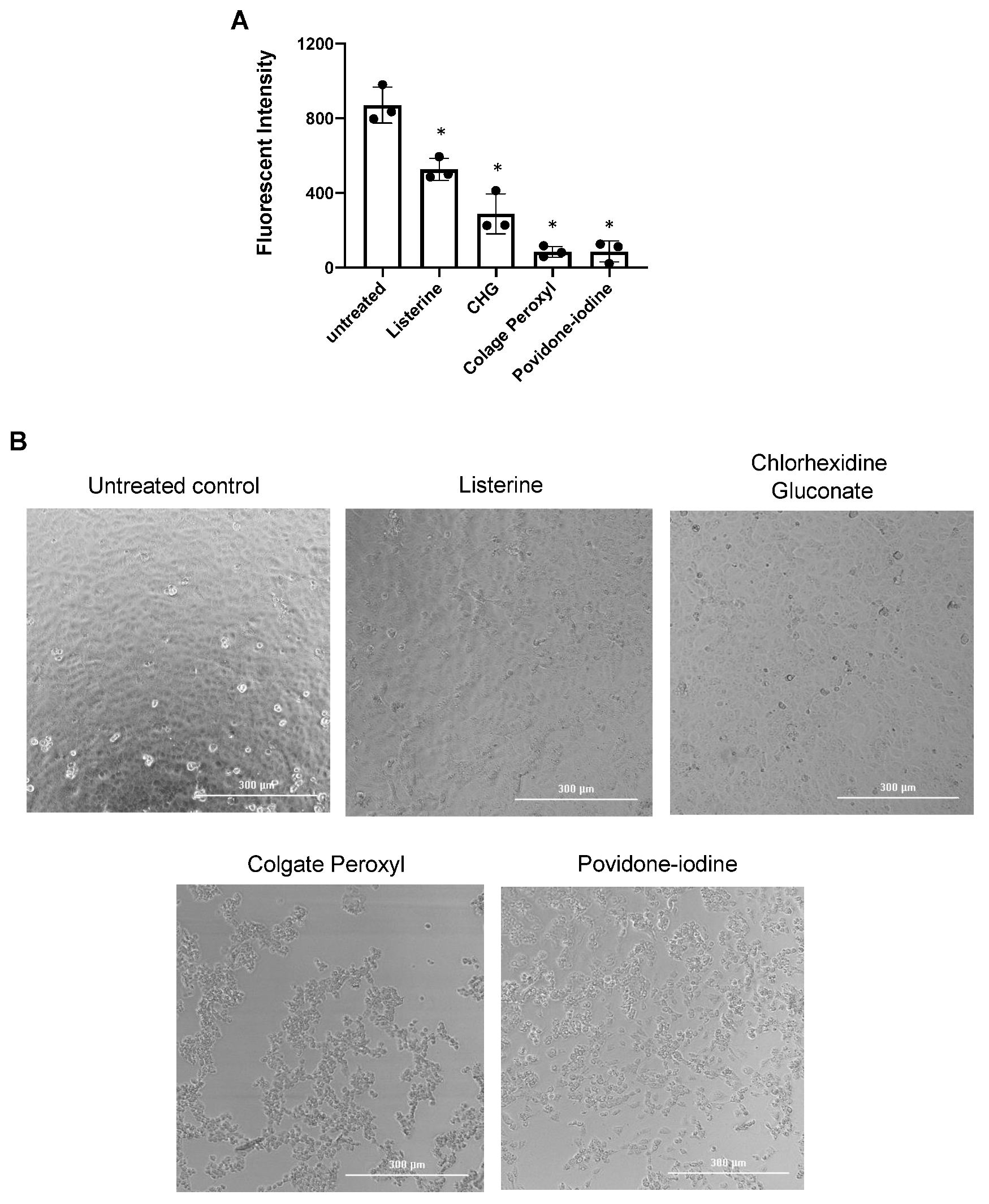 Pathogens 10 00272 g003