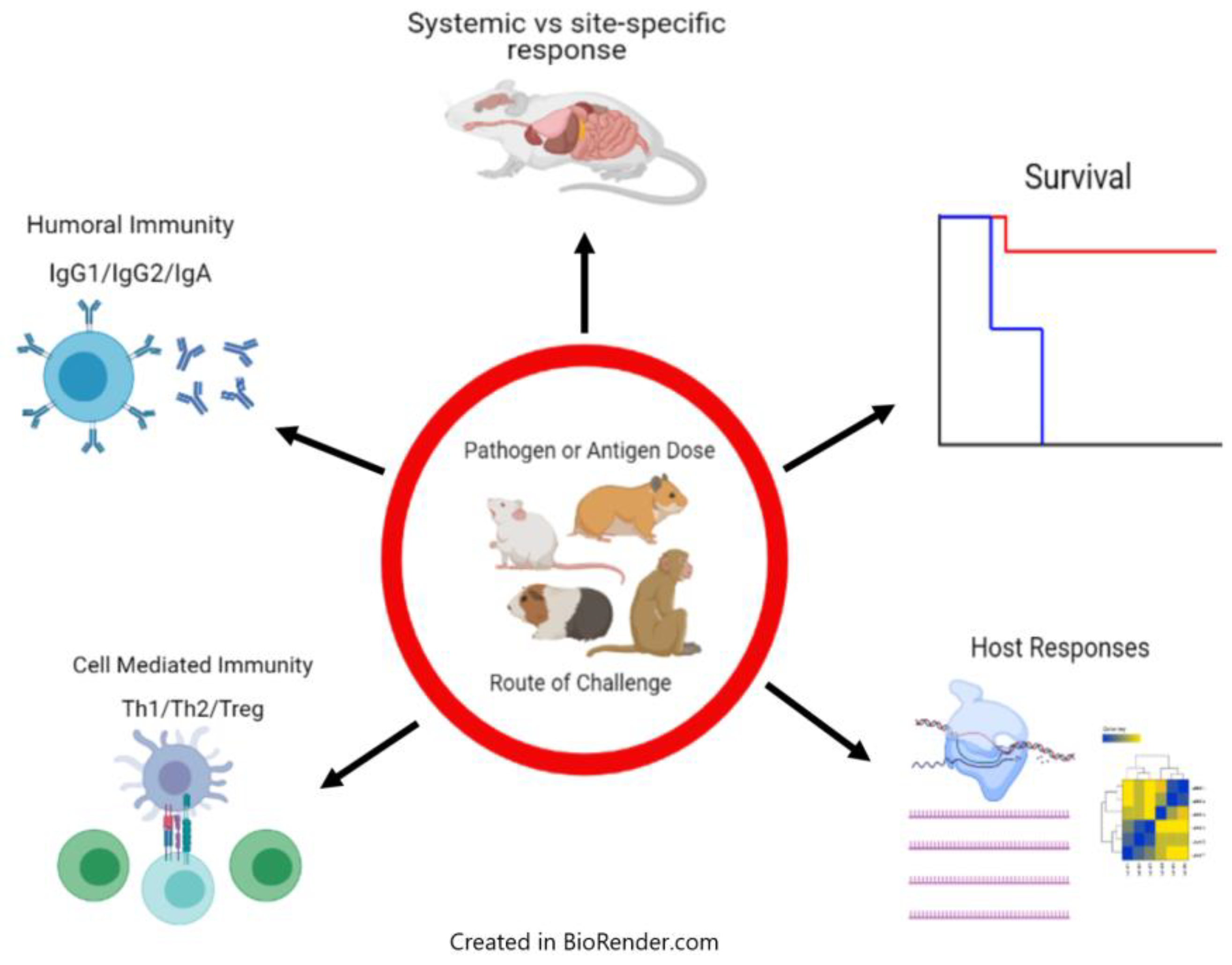 Pathogens 10 00275 g002