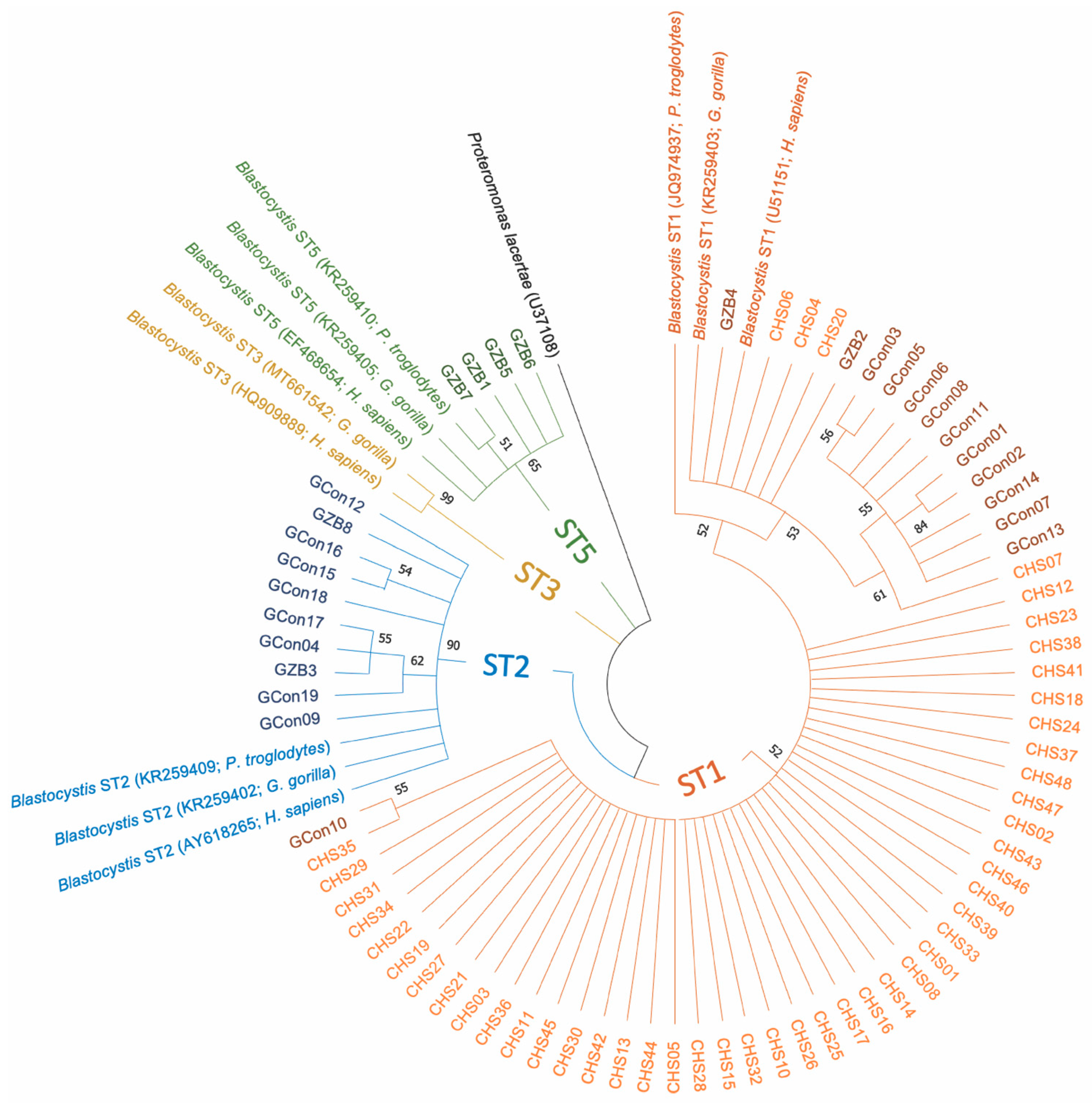Pathogens 10 00280 g001