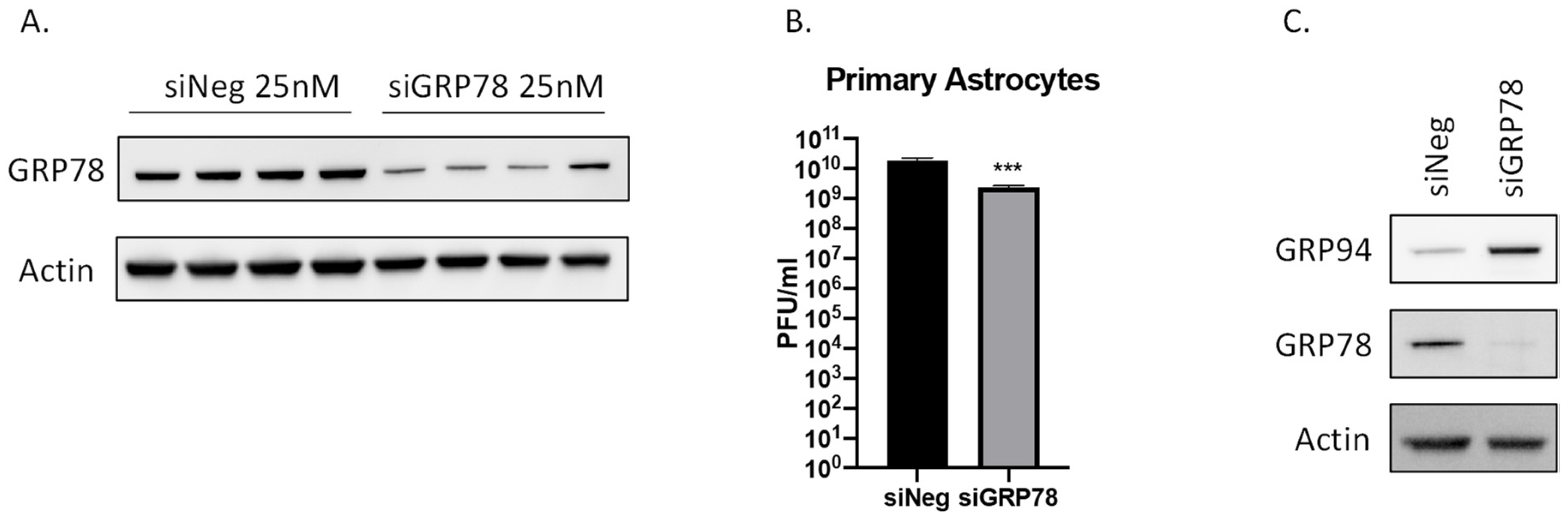Pathogens 10 00283 g005 Pathogens 10 00283 g005