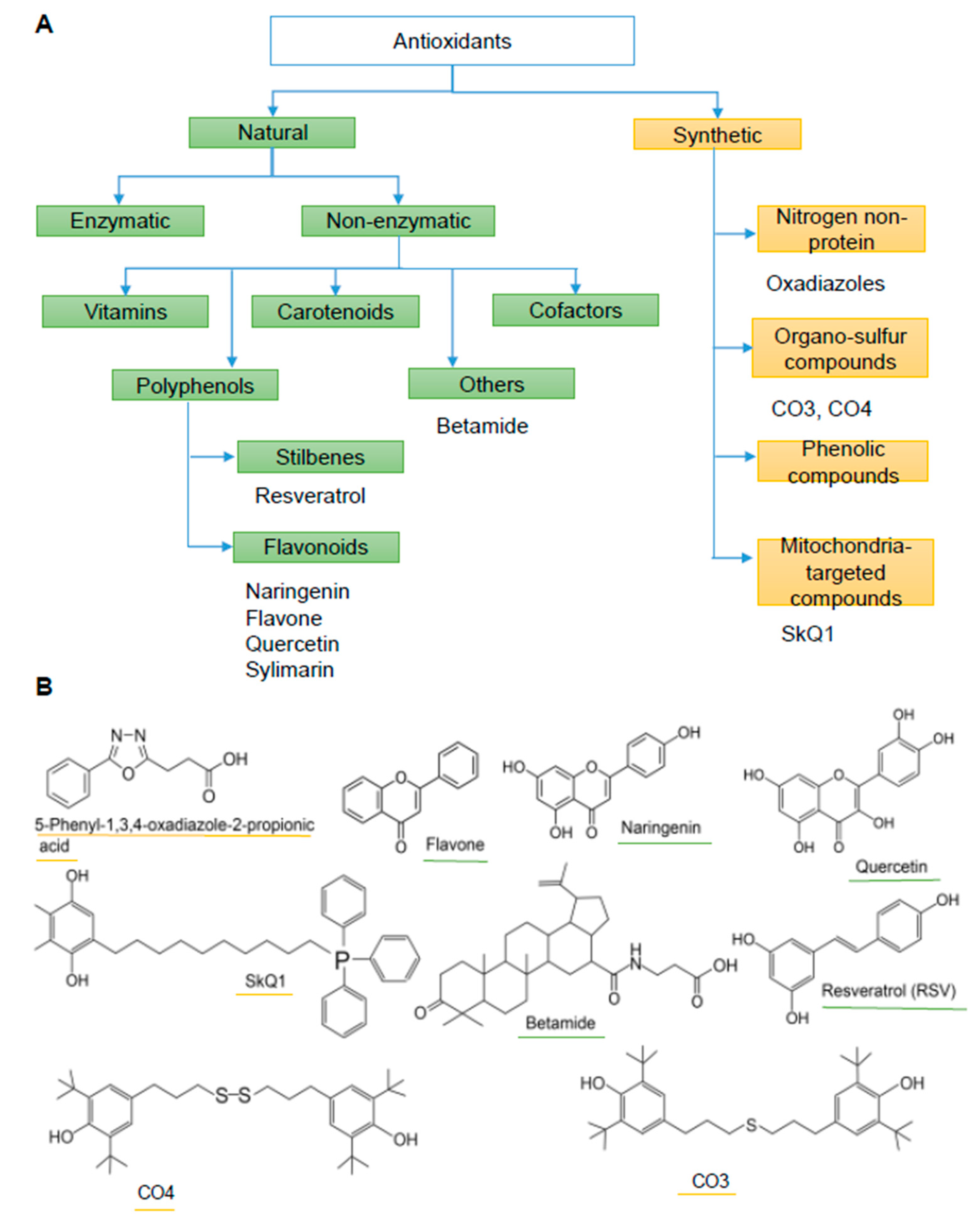 Pathogens 10 00284 g001
