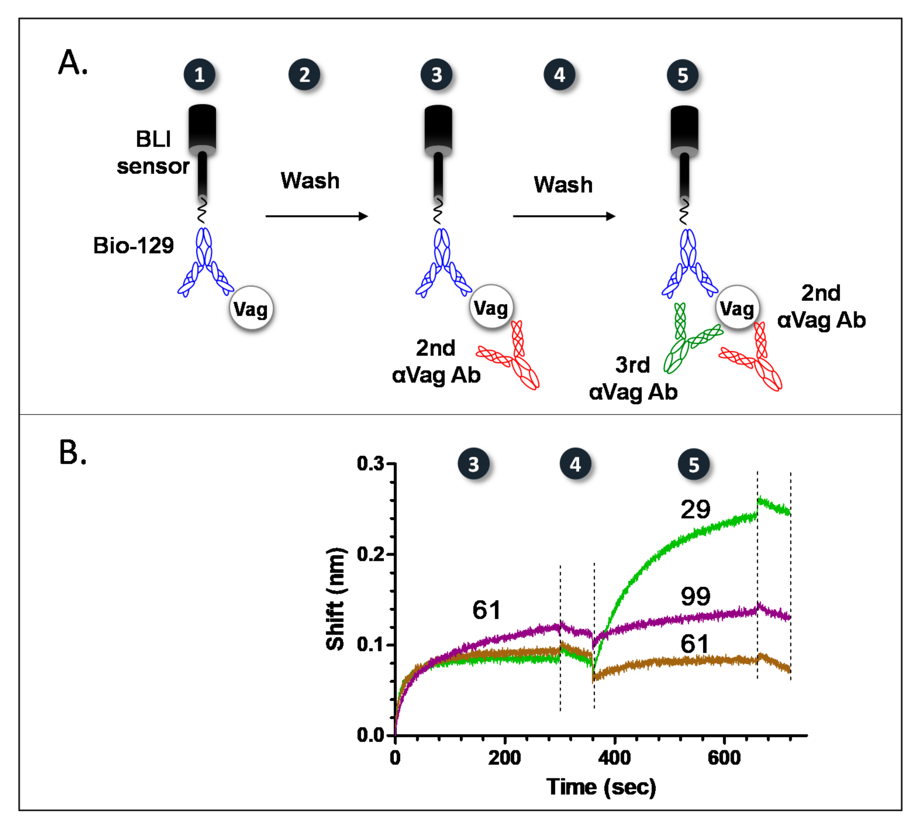 Pathogens 10 00285 g001 Pathogens 10 00285 g001