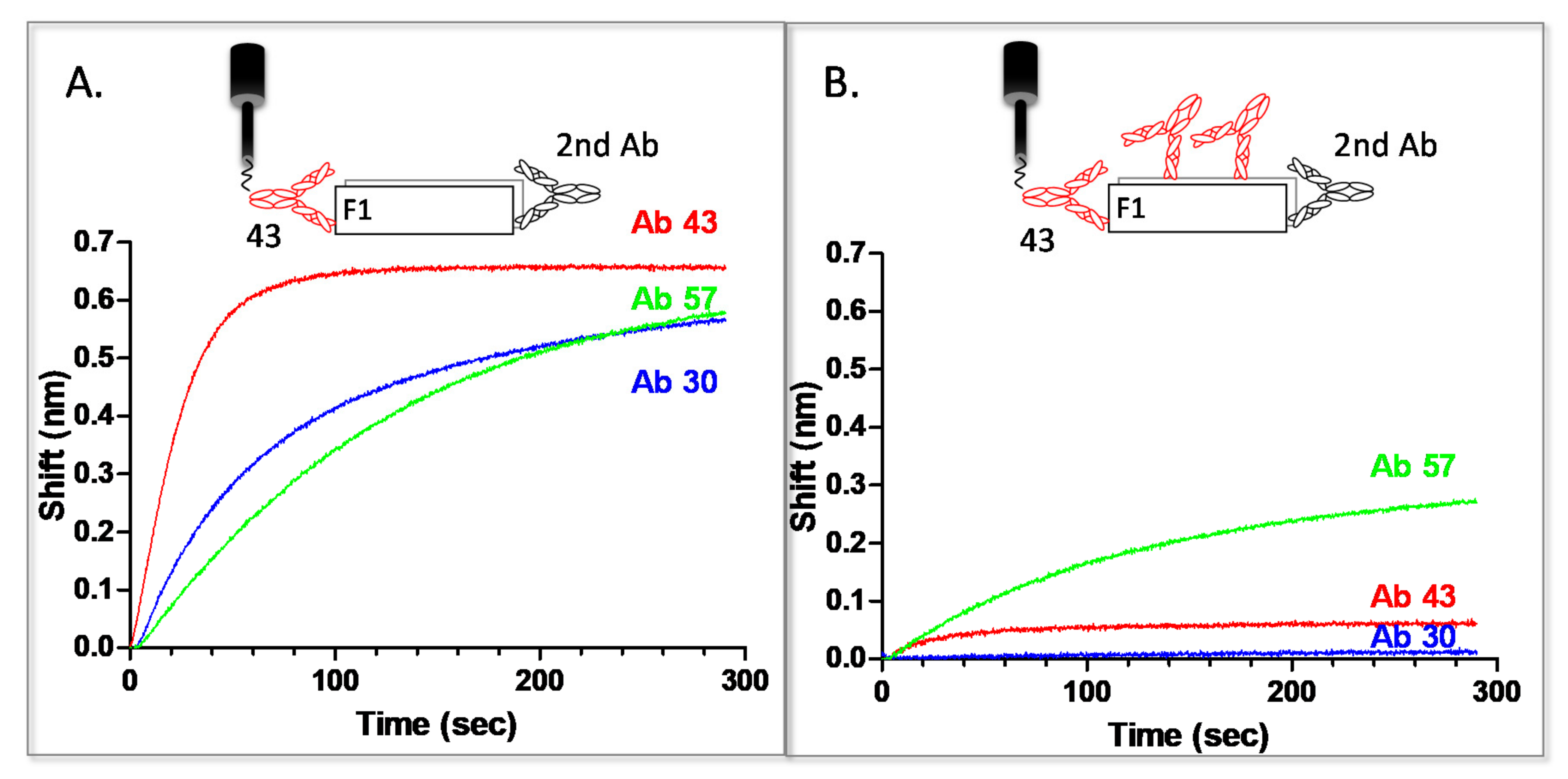 Pathogens 10 00285 g004 Pathogens 10 00285 g004