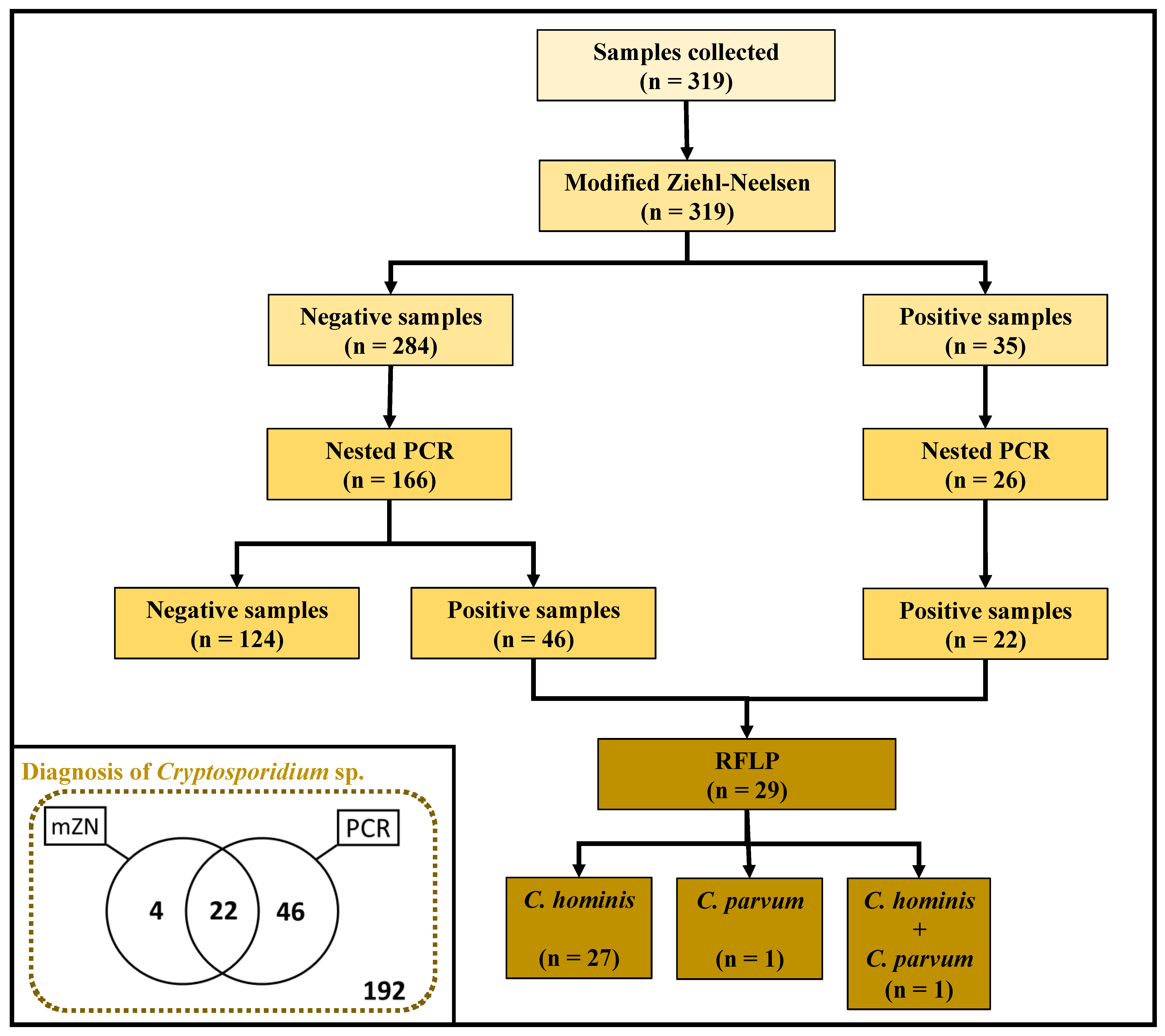 Pathogens 10 00293 g001 Pathogens 10 00293 g001