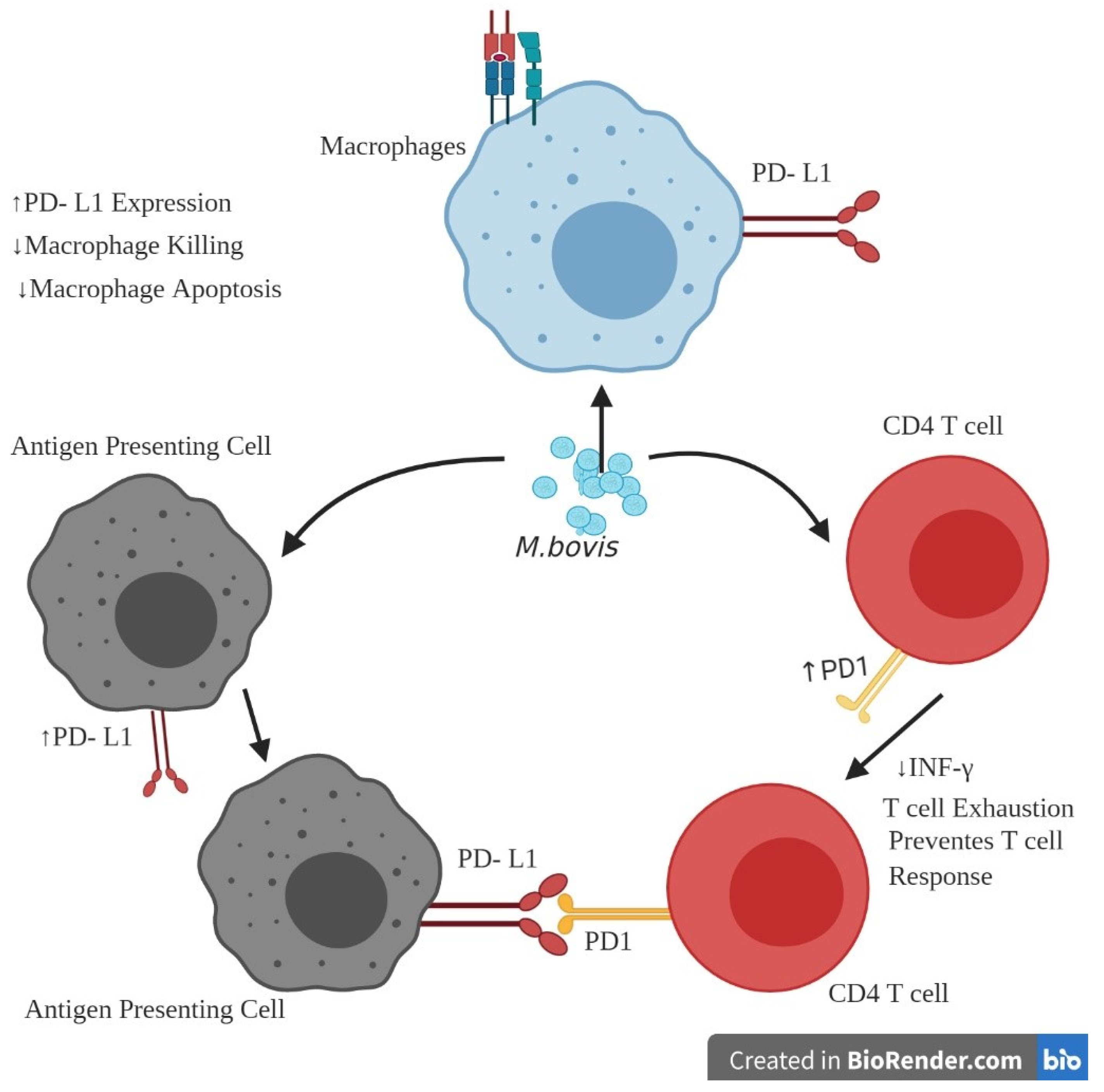 Pathogens 10 00297 g003 Pathogens 10 00297 g003