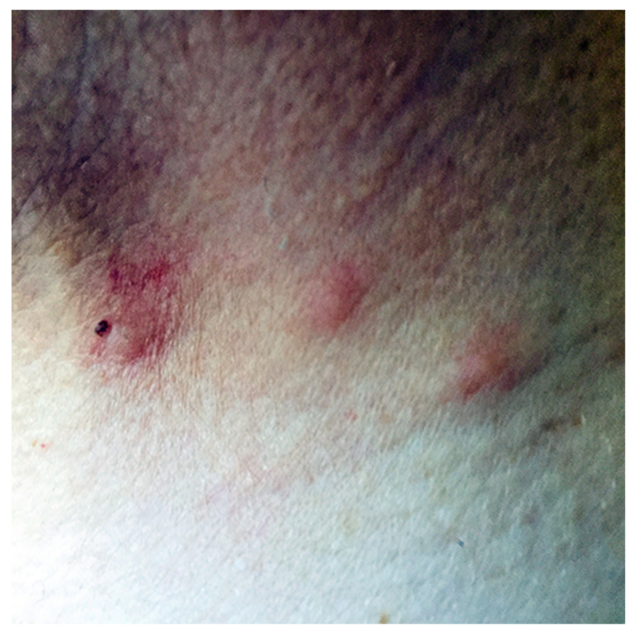 Pathogens 10 00299 g001 Pathogens 10 00299 g001