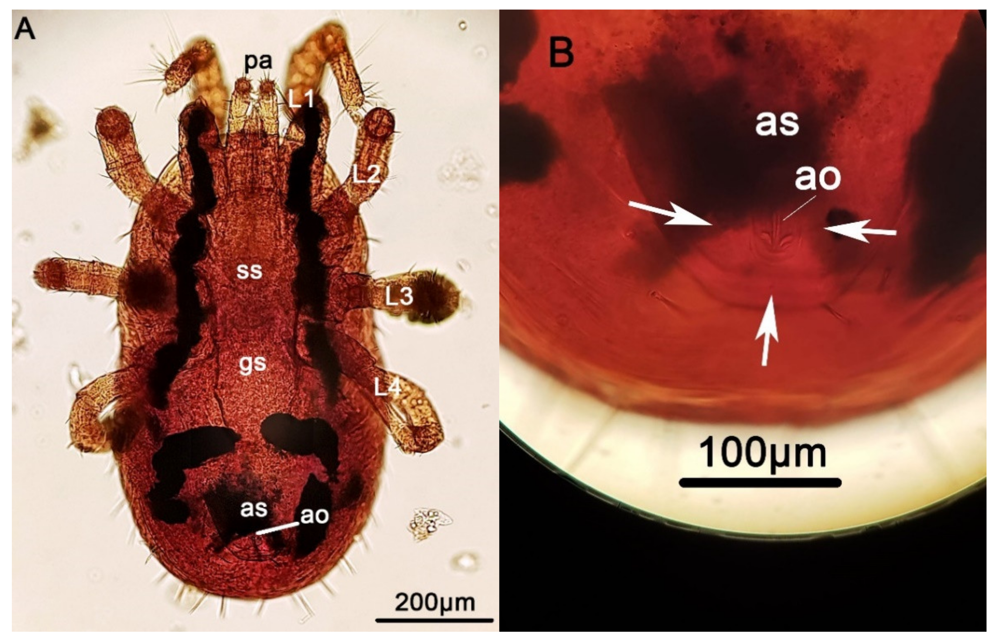 Pathogens 10 00299 g002 Pathogens 10 00299 g002