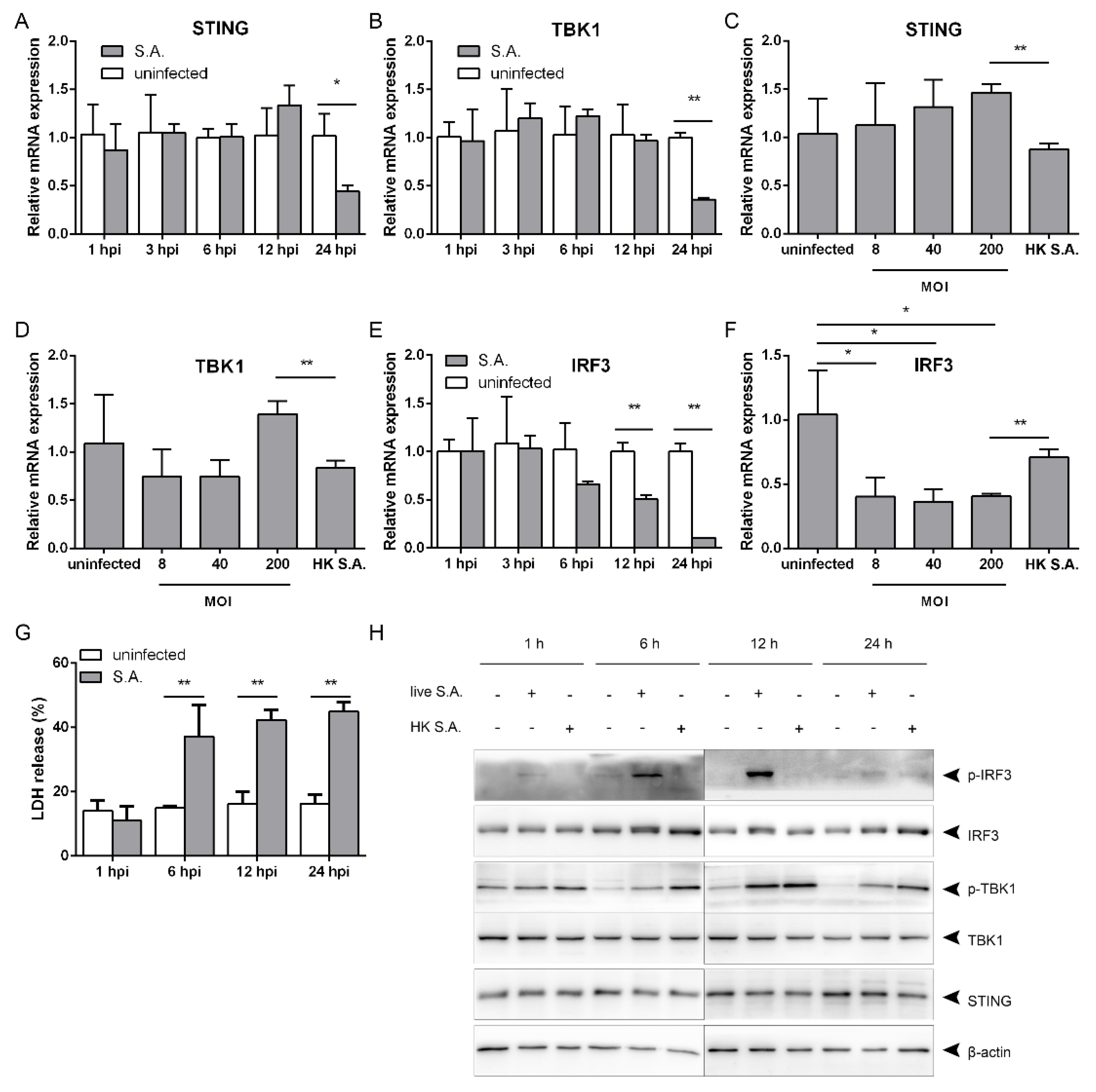 Pathogens 10 00300 g002 Pathogens 10 00300 g002
