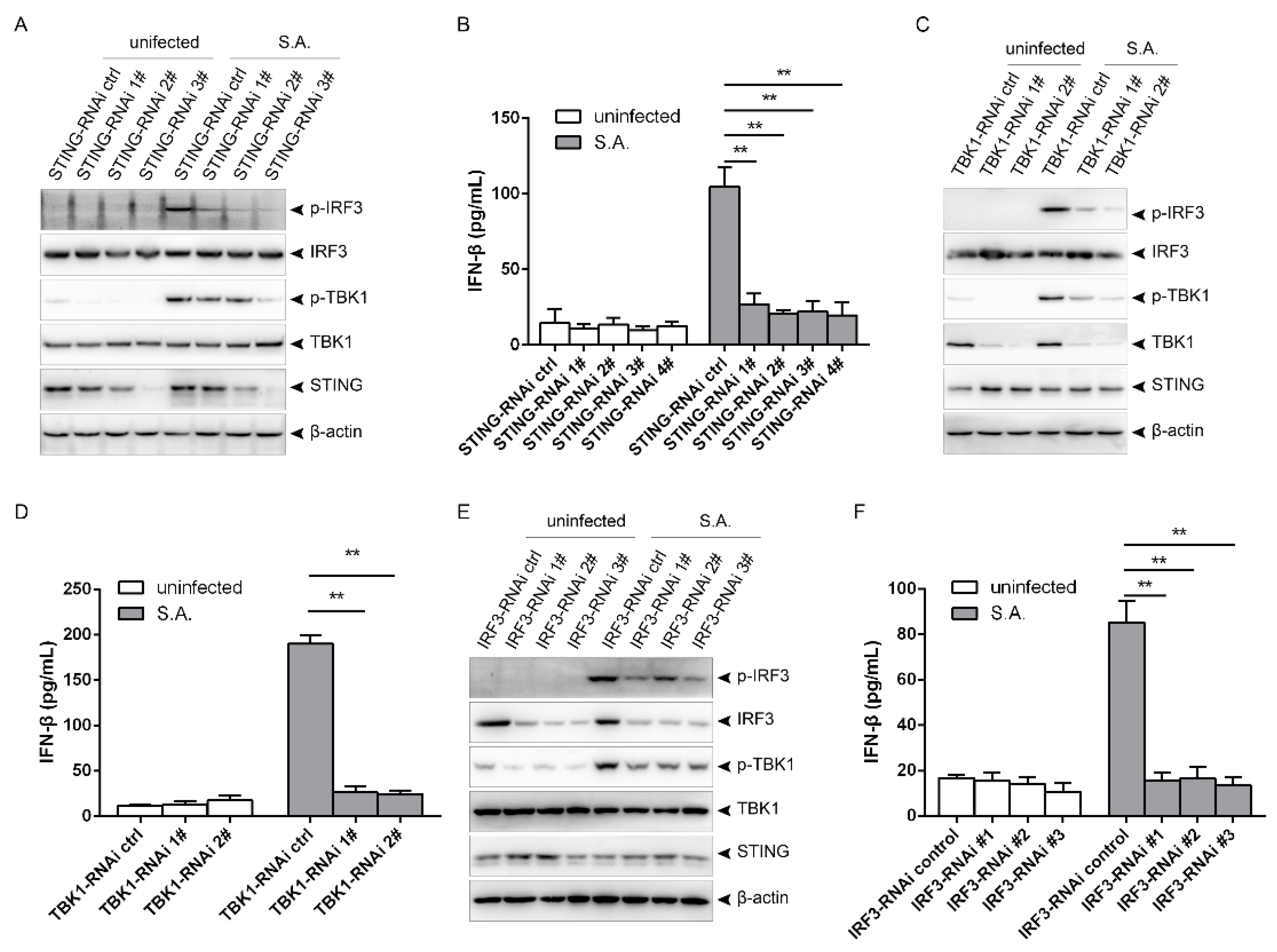 Pathogens 10 00300 g003 Pathogens 10 00300 g003