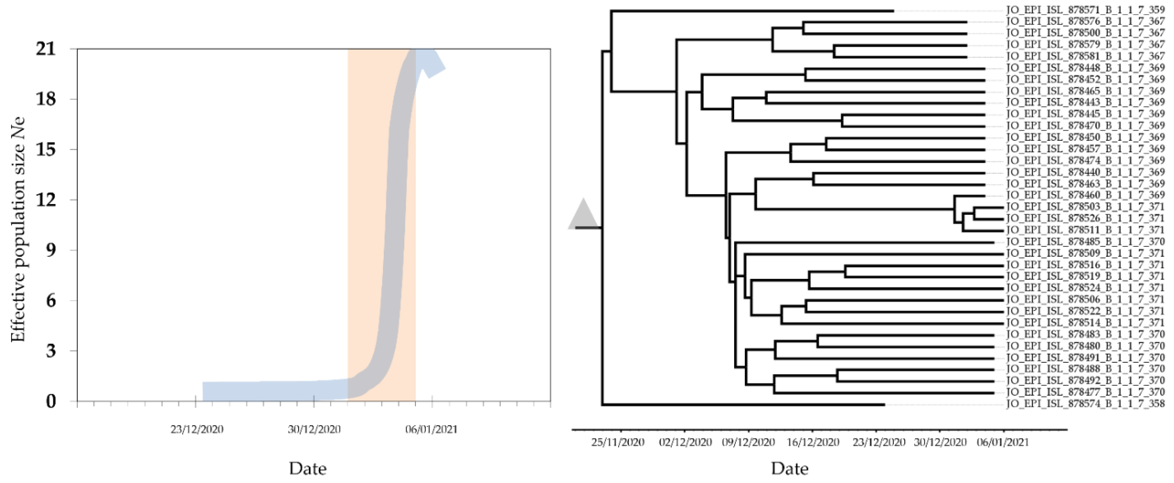 Pathogens 10 00302 g003 Pathogens 10 00302 g003