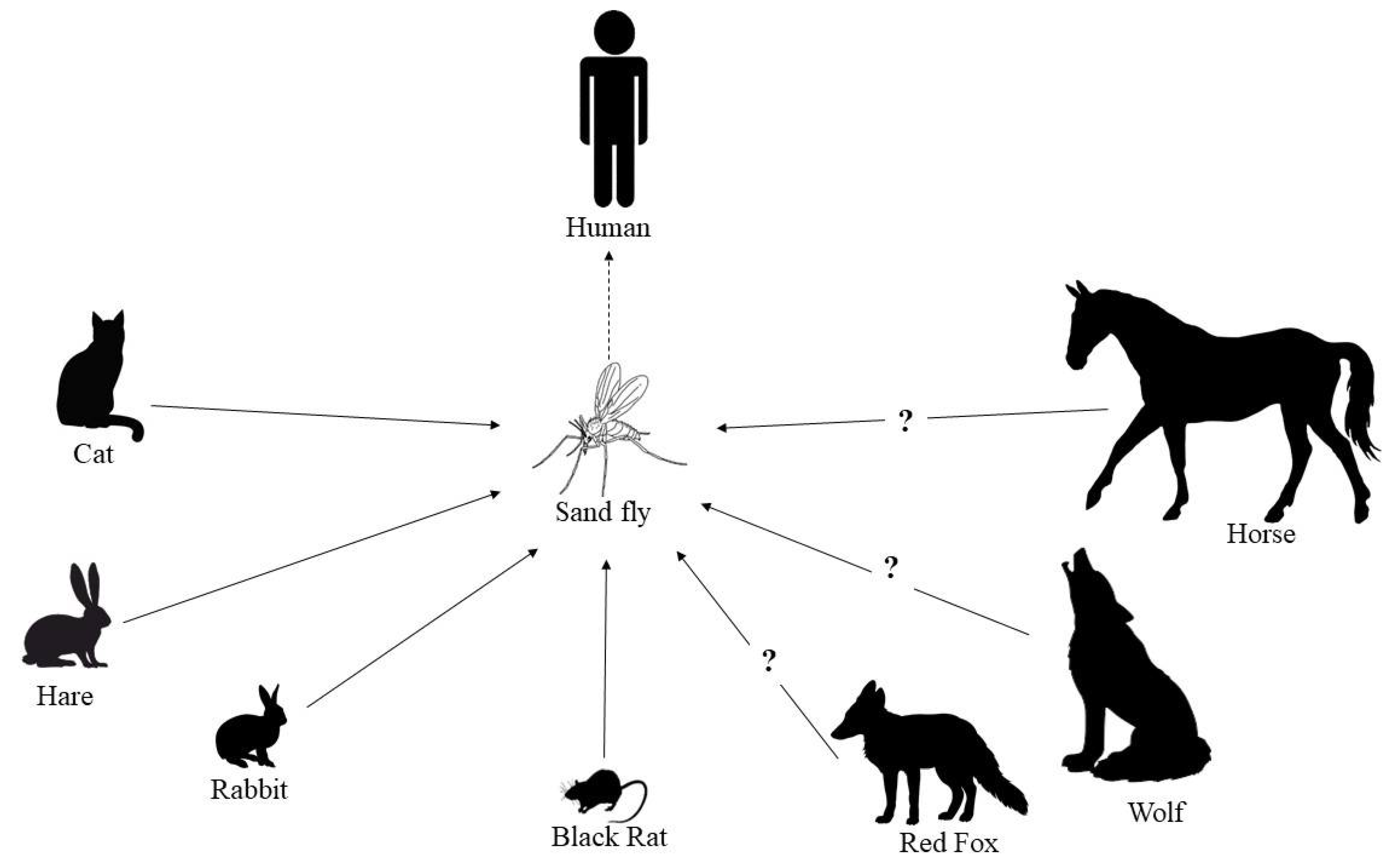 Pathogens | Free Full-Text | New Epidemiological Aspects of Animal  Leishmaniosis in Europe: The Role of Vertebrate Hosts Other Than Dogs
