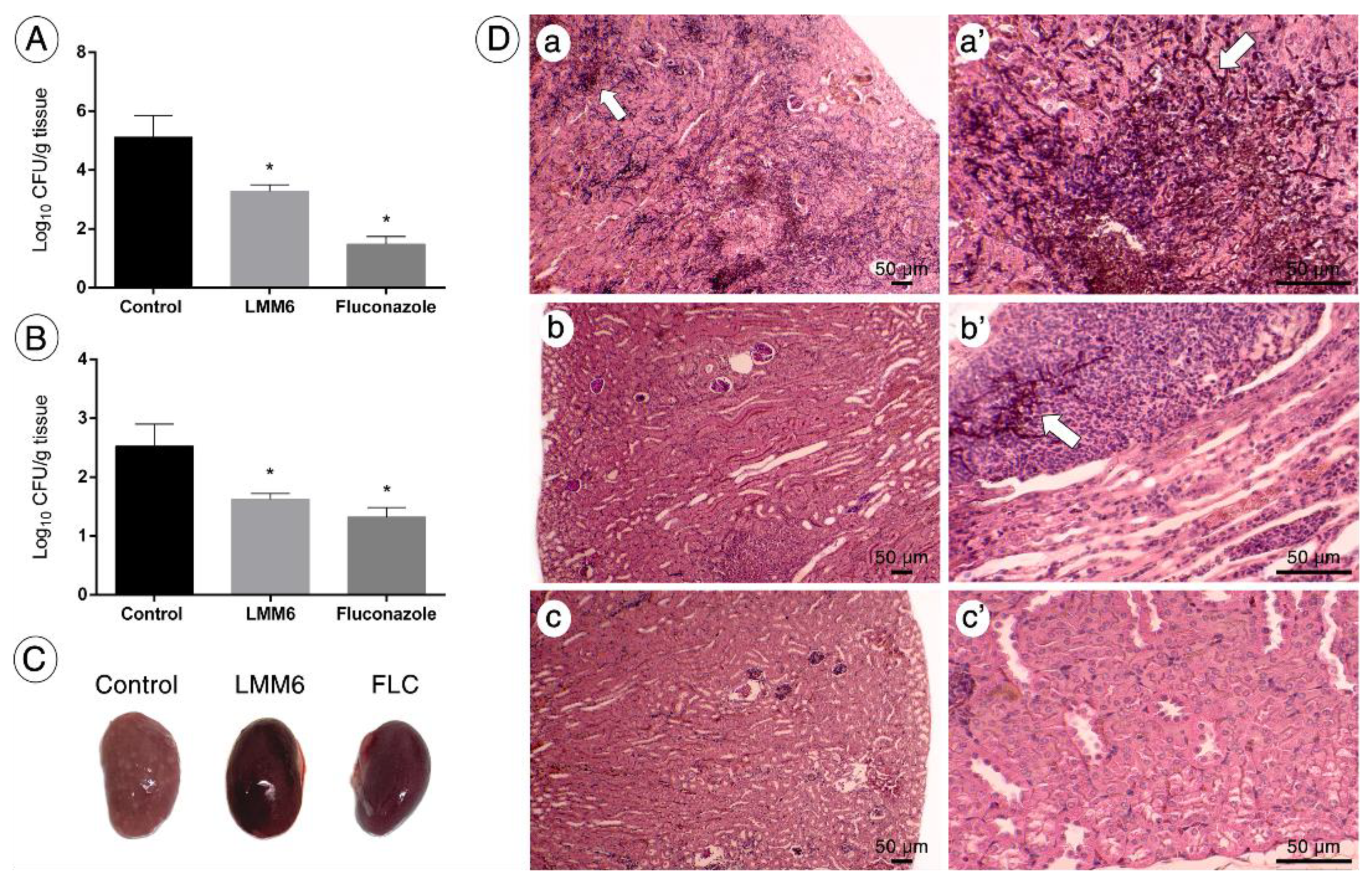 Pathogens 10 00314 g006 Pathogens 10 00314 g006