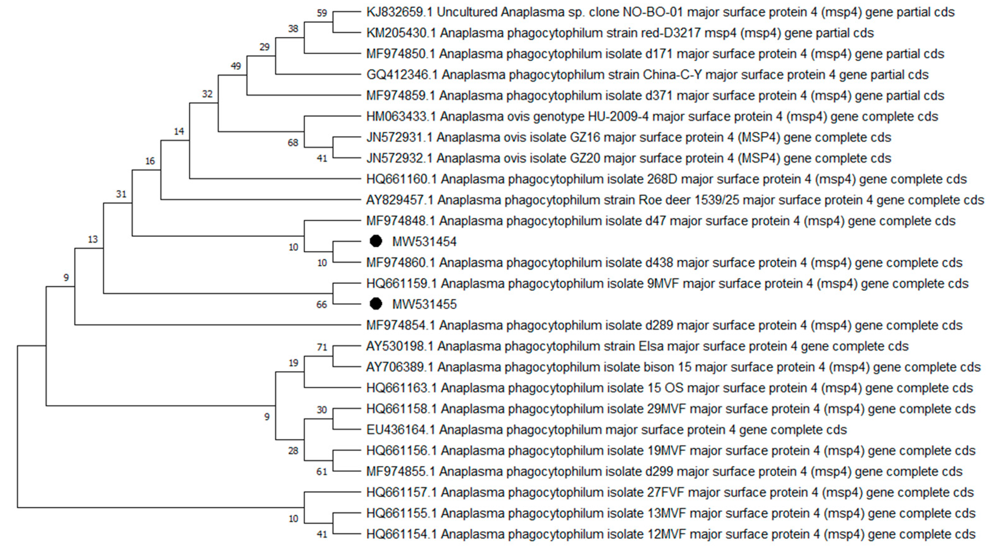 Pathogens 10 00324 g001 Pathogens 10 00324 g001