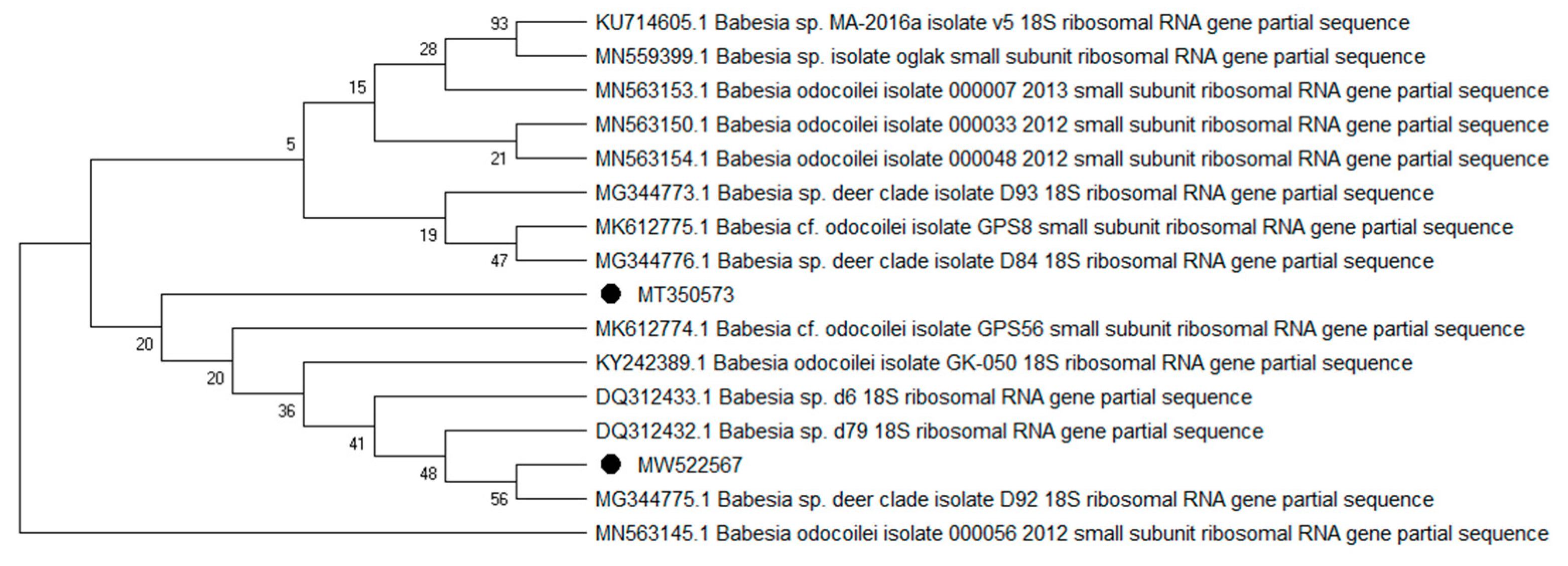 Pathogens 10 00324 g002 Pathogens 10 00324 g002
