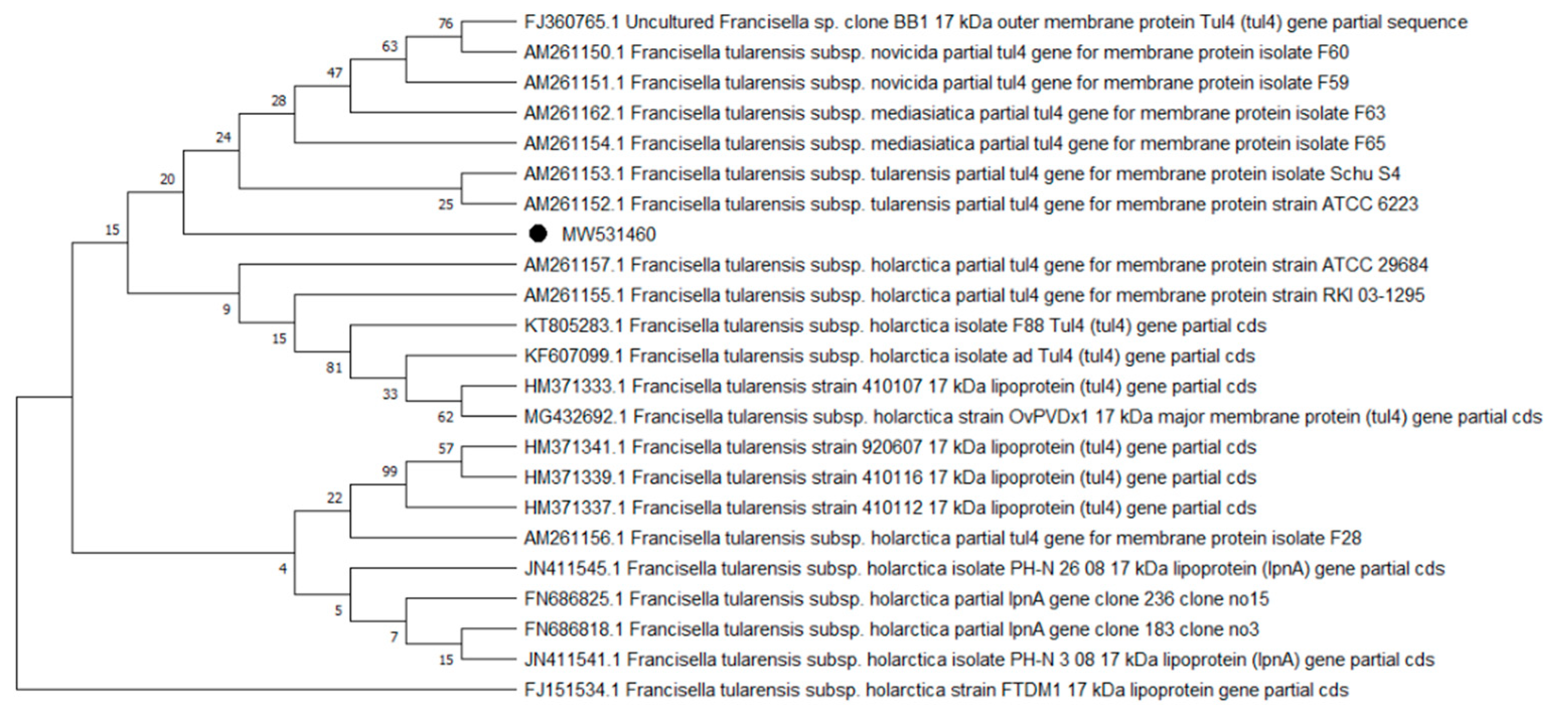 Pathogens 10 00324 g006 Pathogens 10 00324 g006