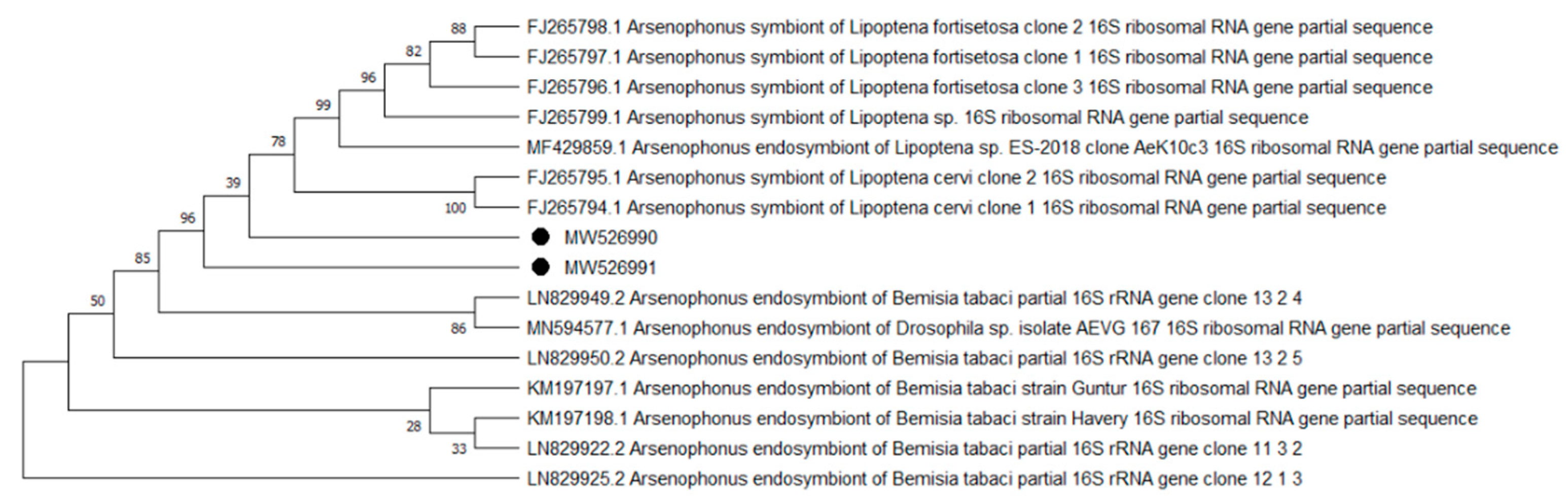 Pathogens 10 00324 g007 Pathogens 10 00324 g007