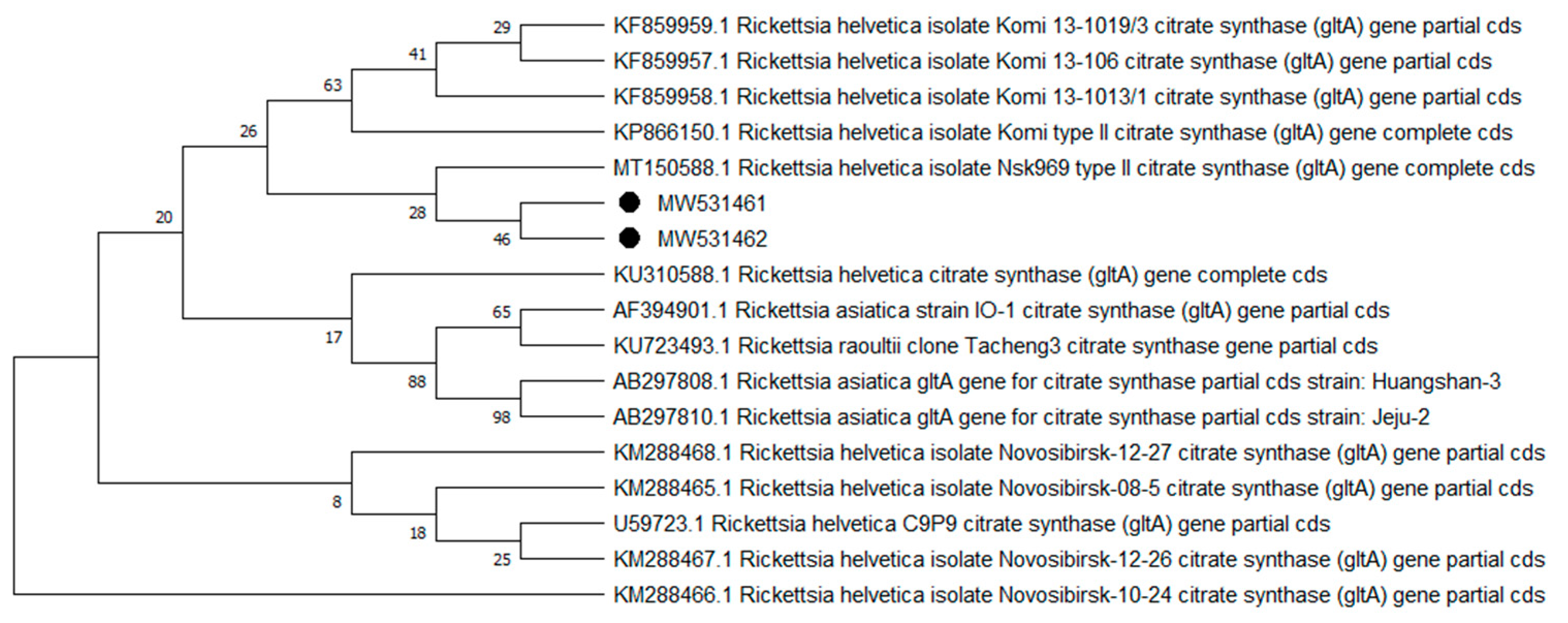 Pathogens 10 00324 g009 Pathogens 10 00324 g009